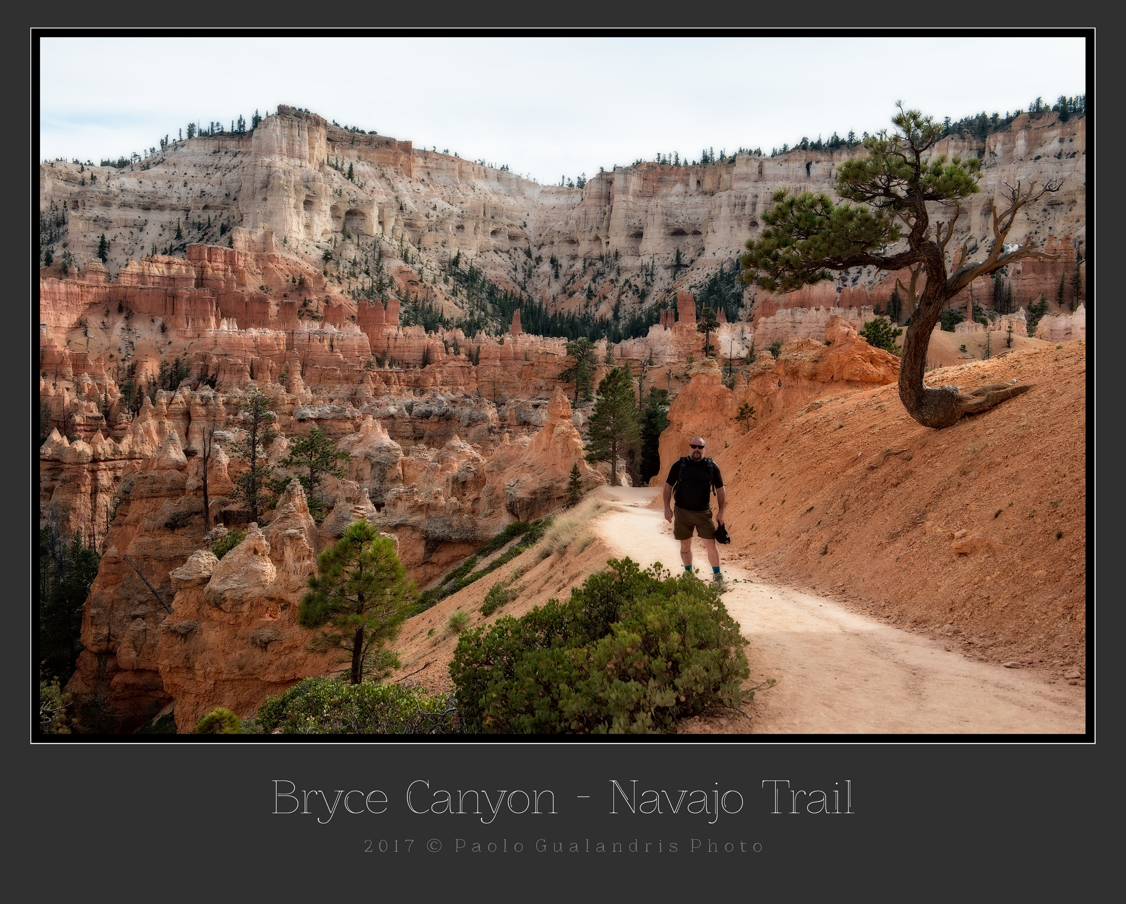 Bryce Canyon . Navajo Trail