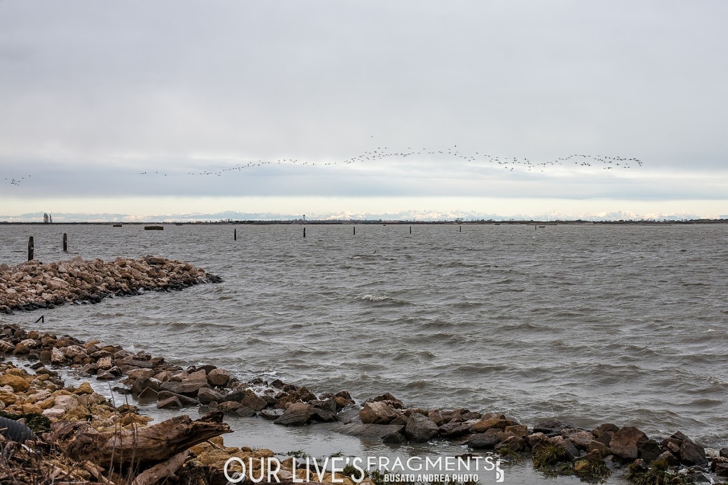 Valli del Delta del Po dopo una intensa di pioggia