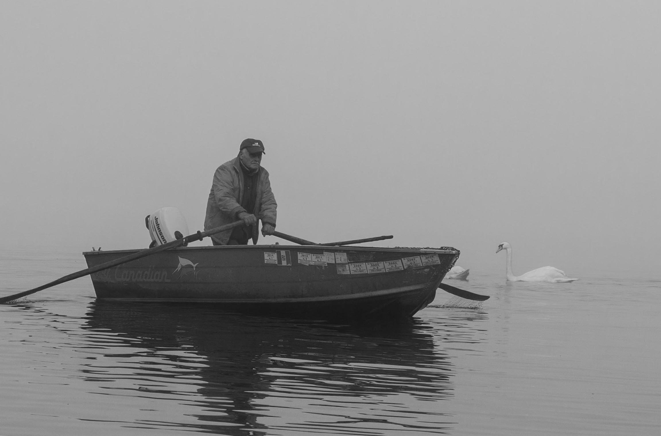 The geese and the fisherman