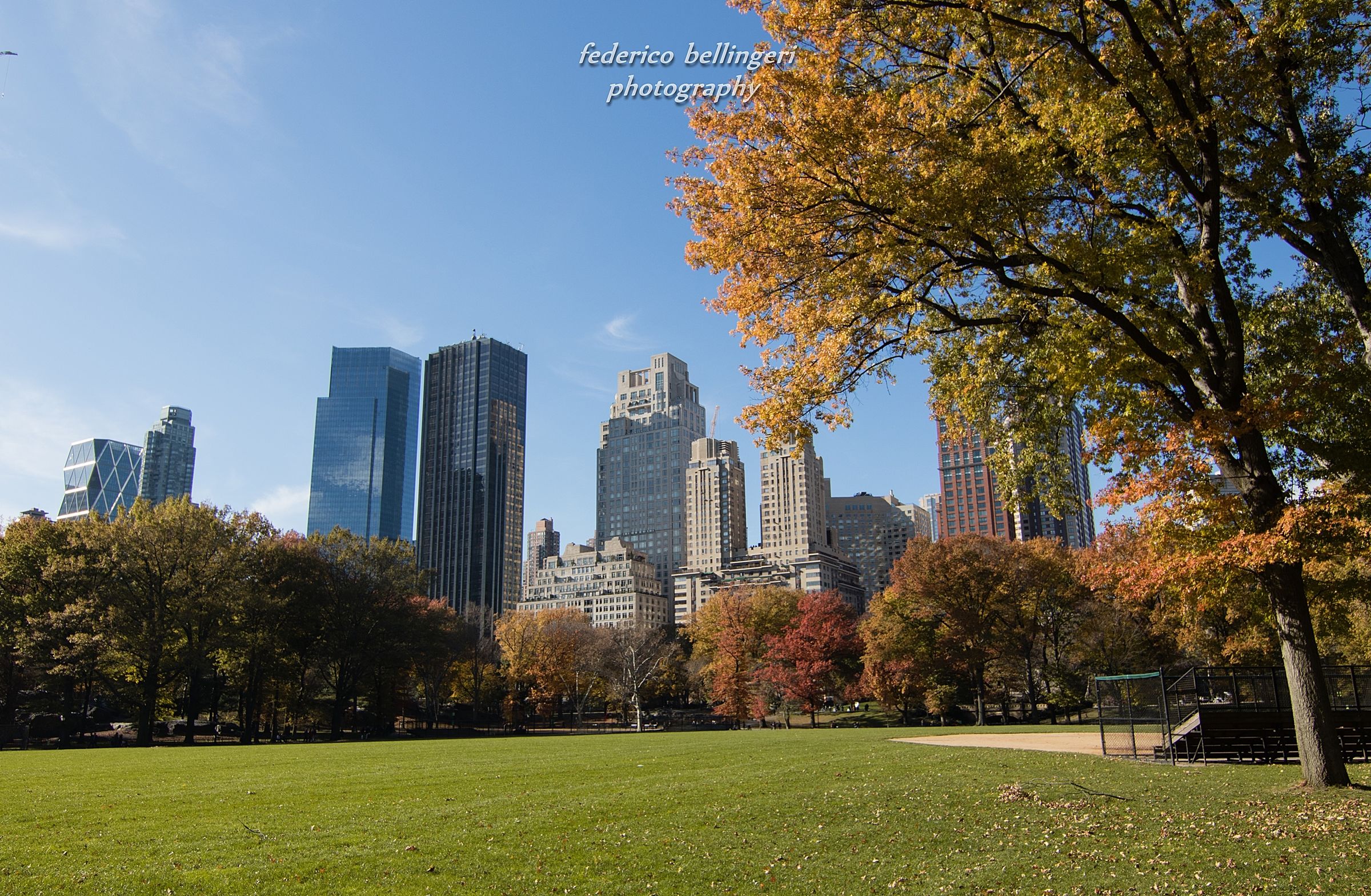morning in Central Park NY