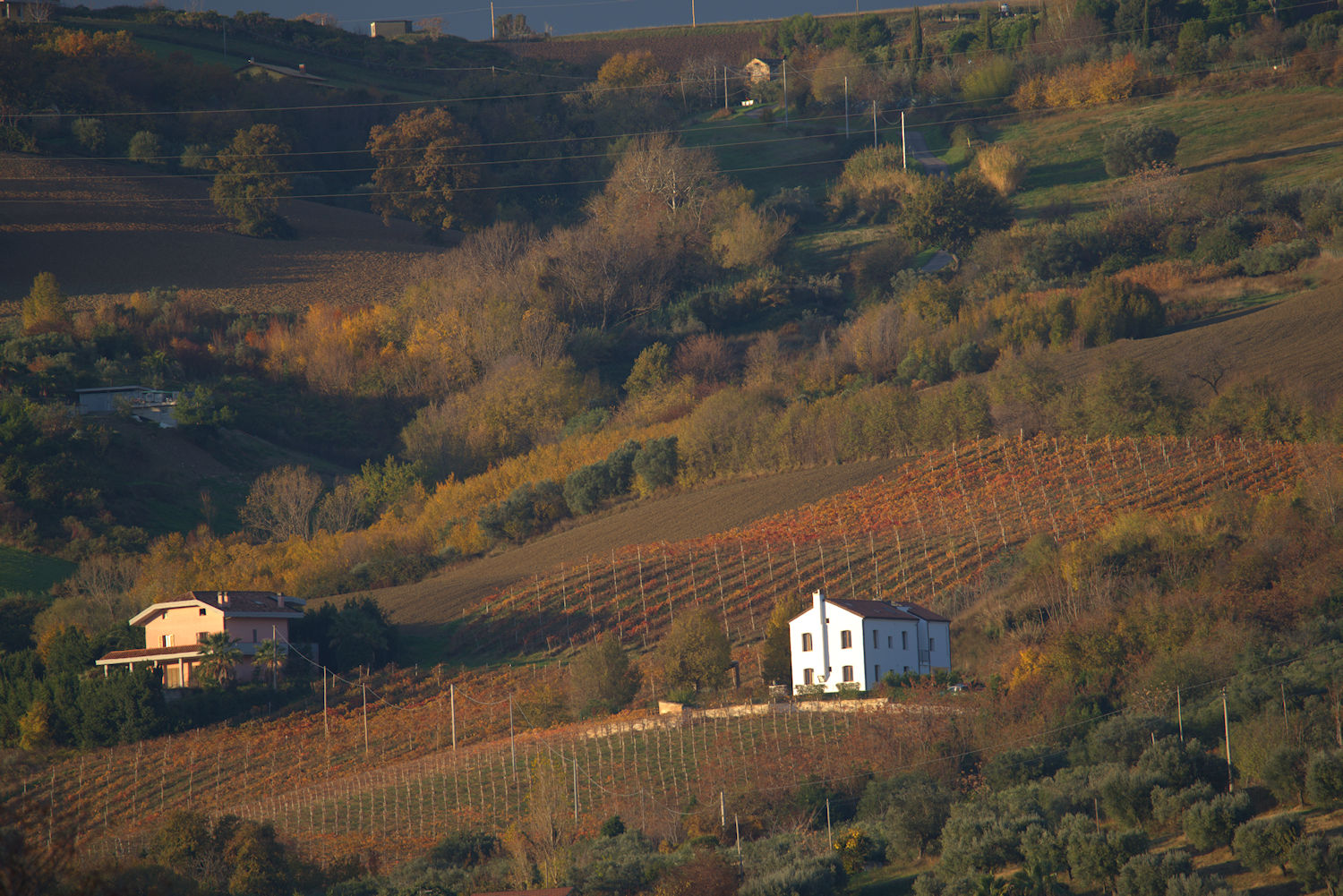 Abruzzo Hills