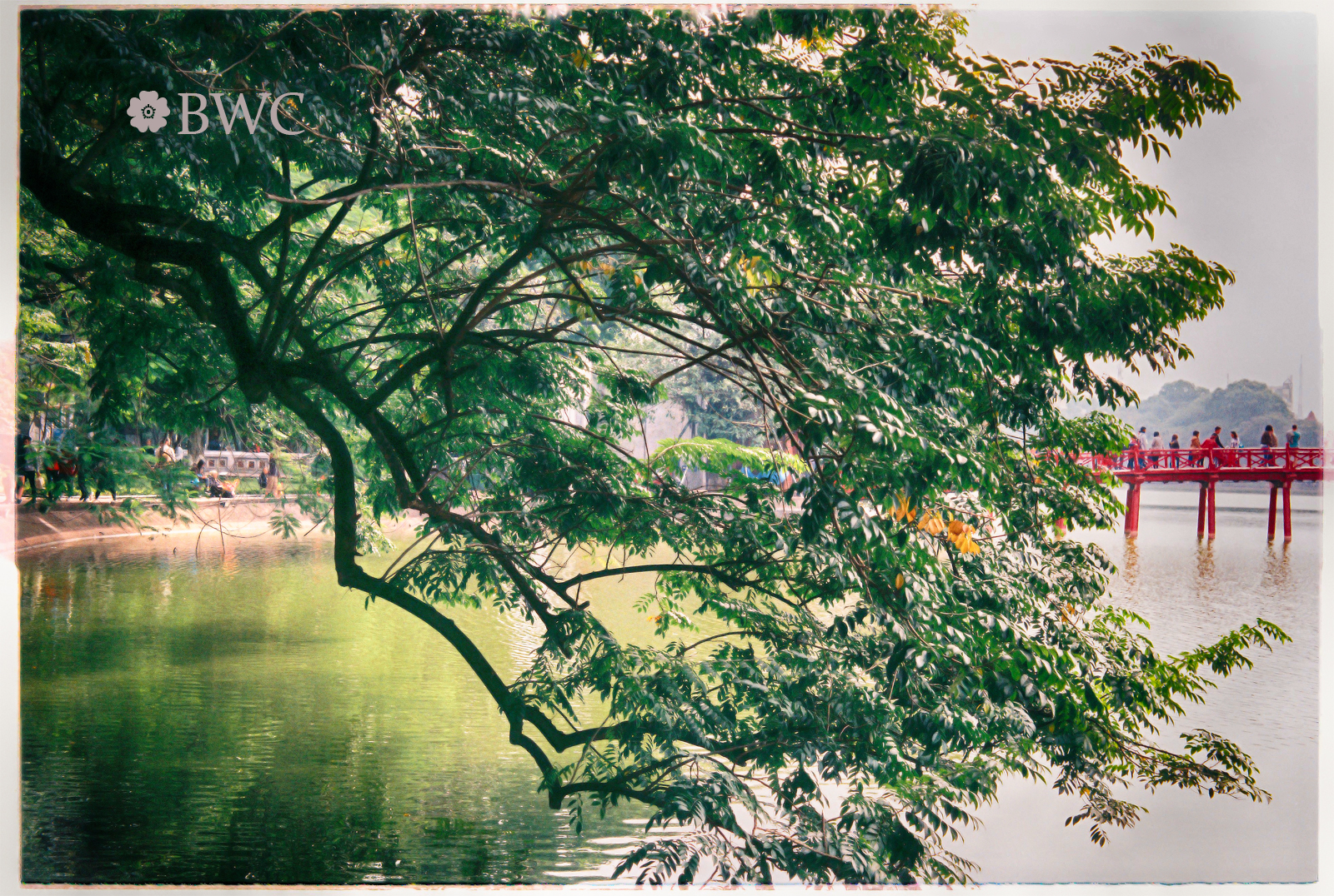 Film Shot: A Lake In Some HDR