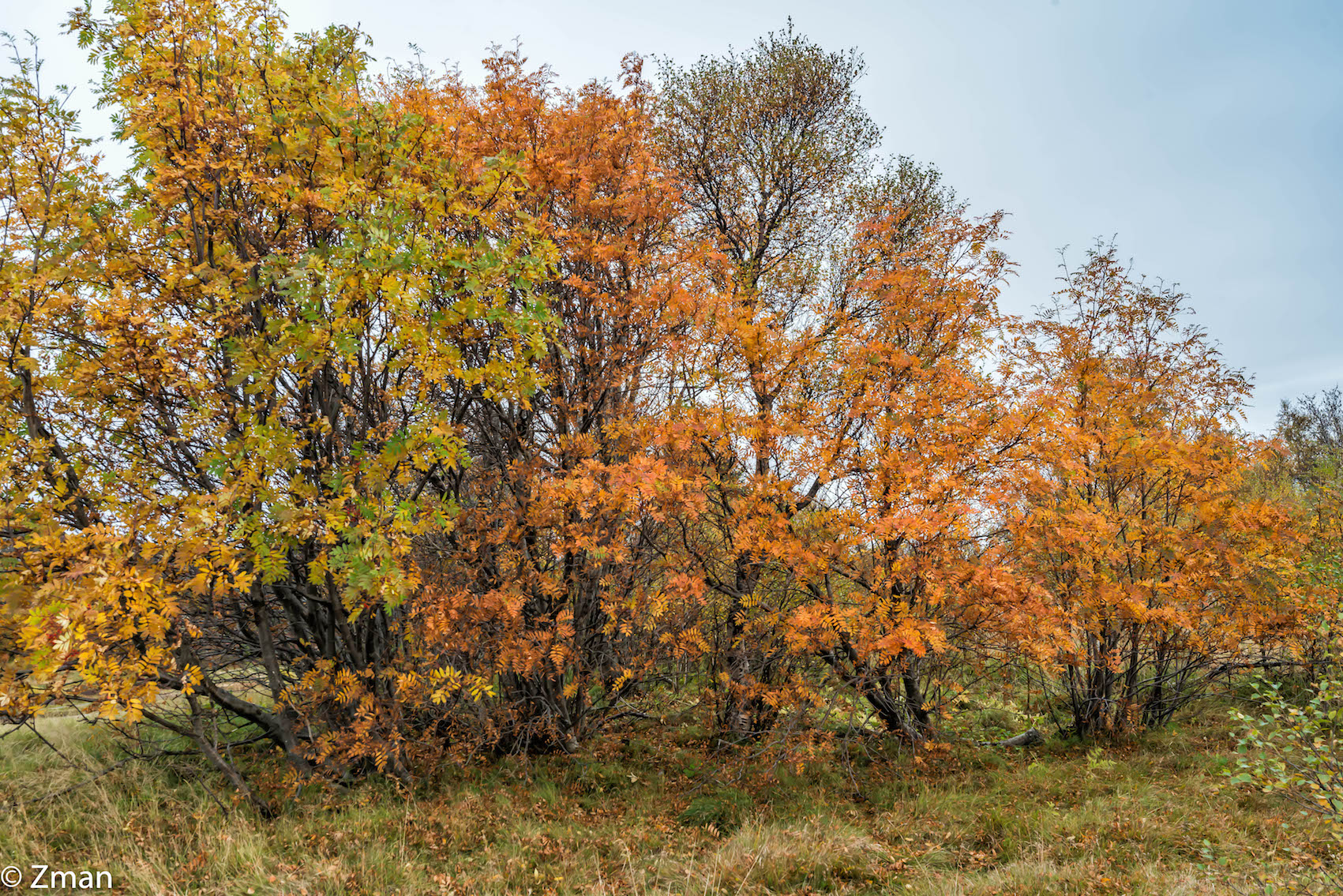 The Crack in Thingvellir