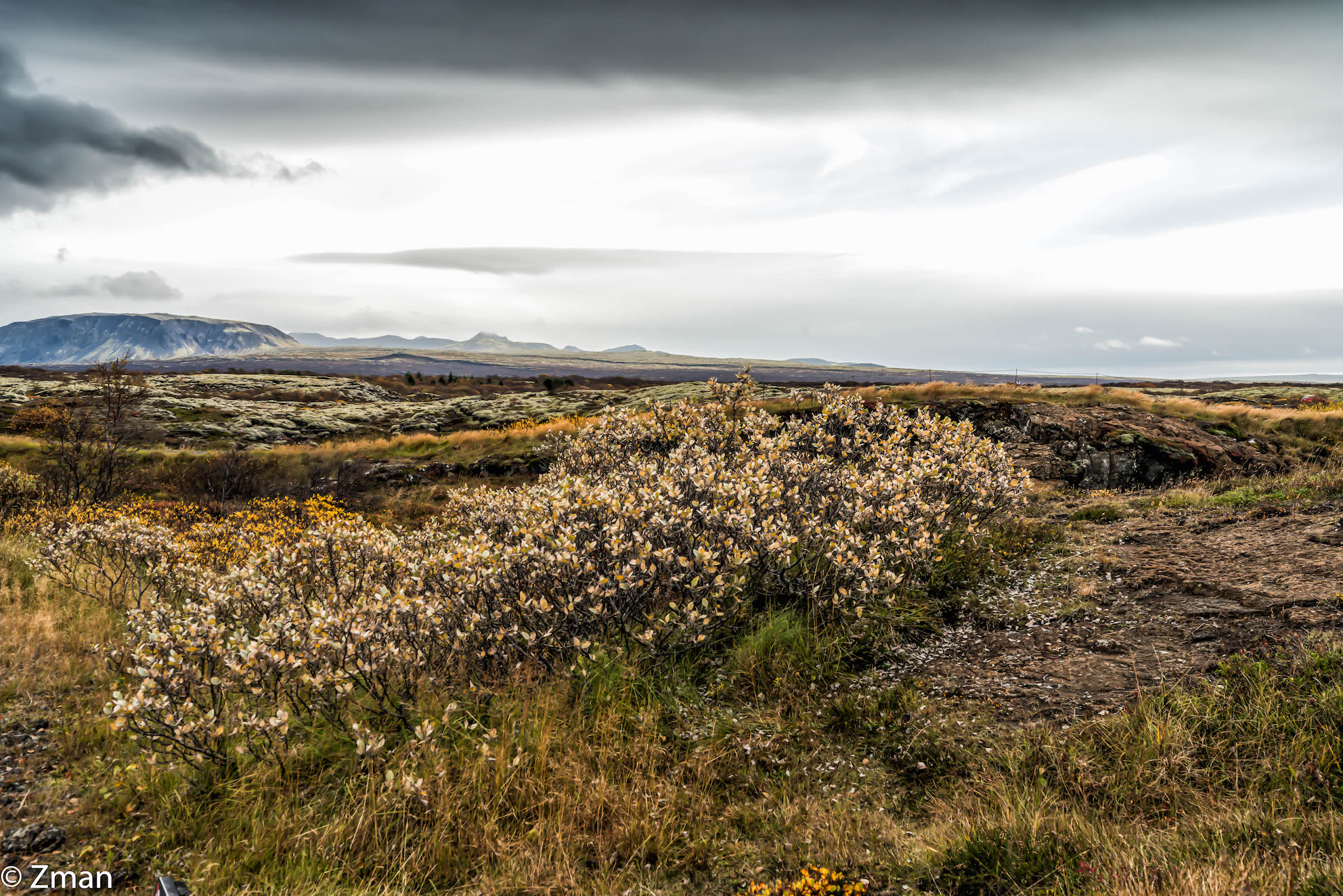 The Crack in Thingvellir