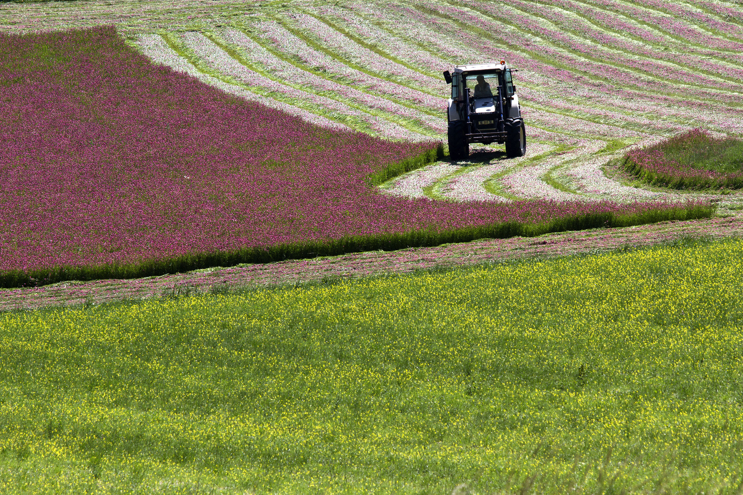 the plain of Castelluccio 2