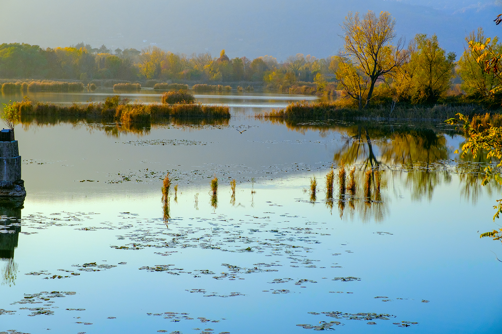 Torbiere D'Iseo verso sera