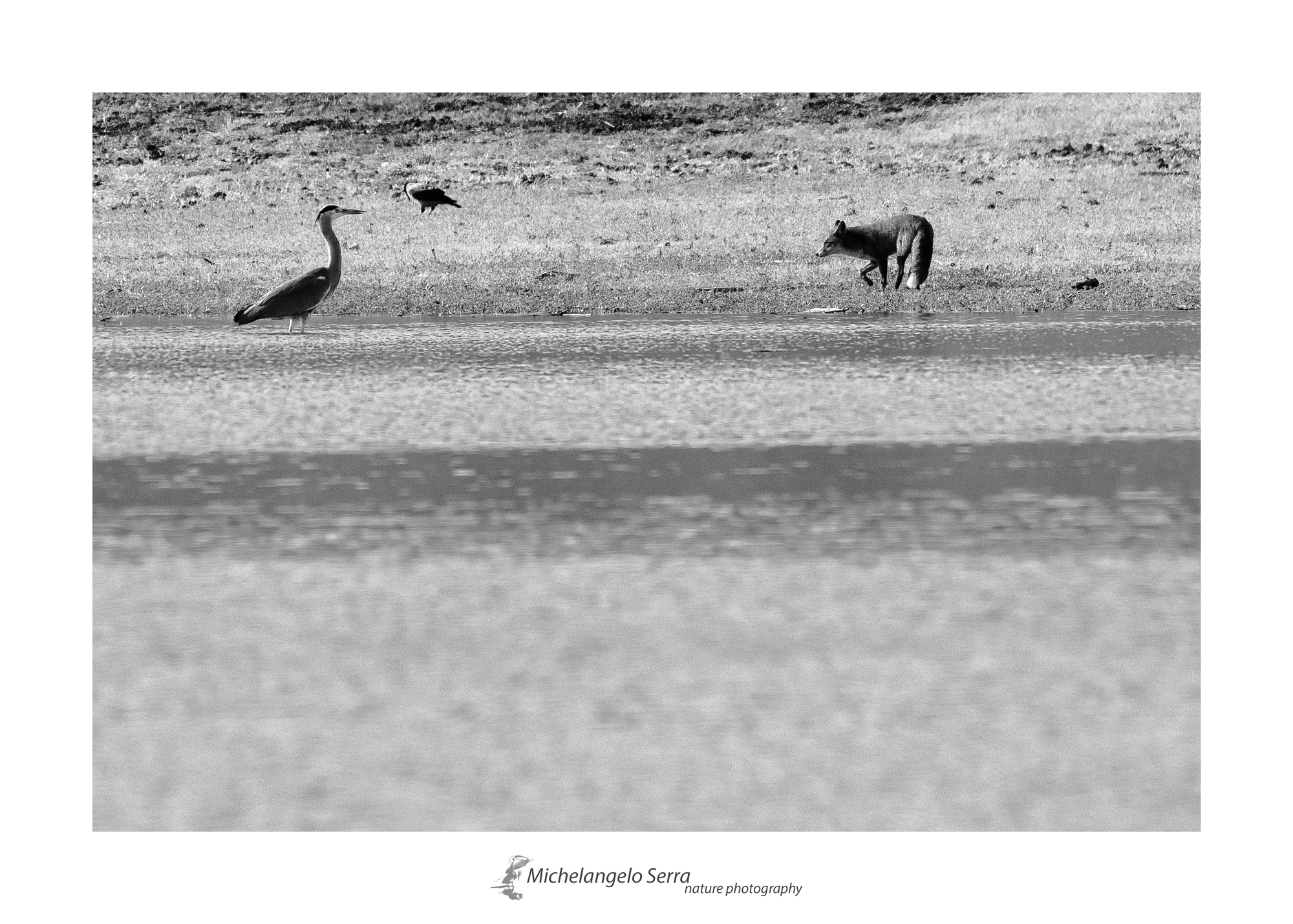 the beautiful the bad the bad