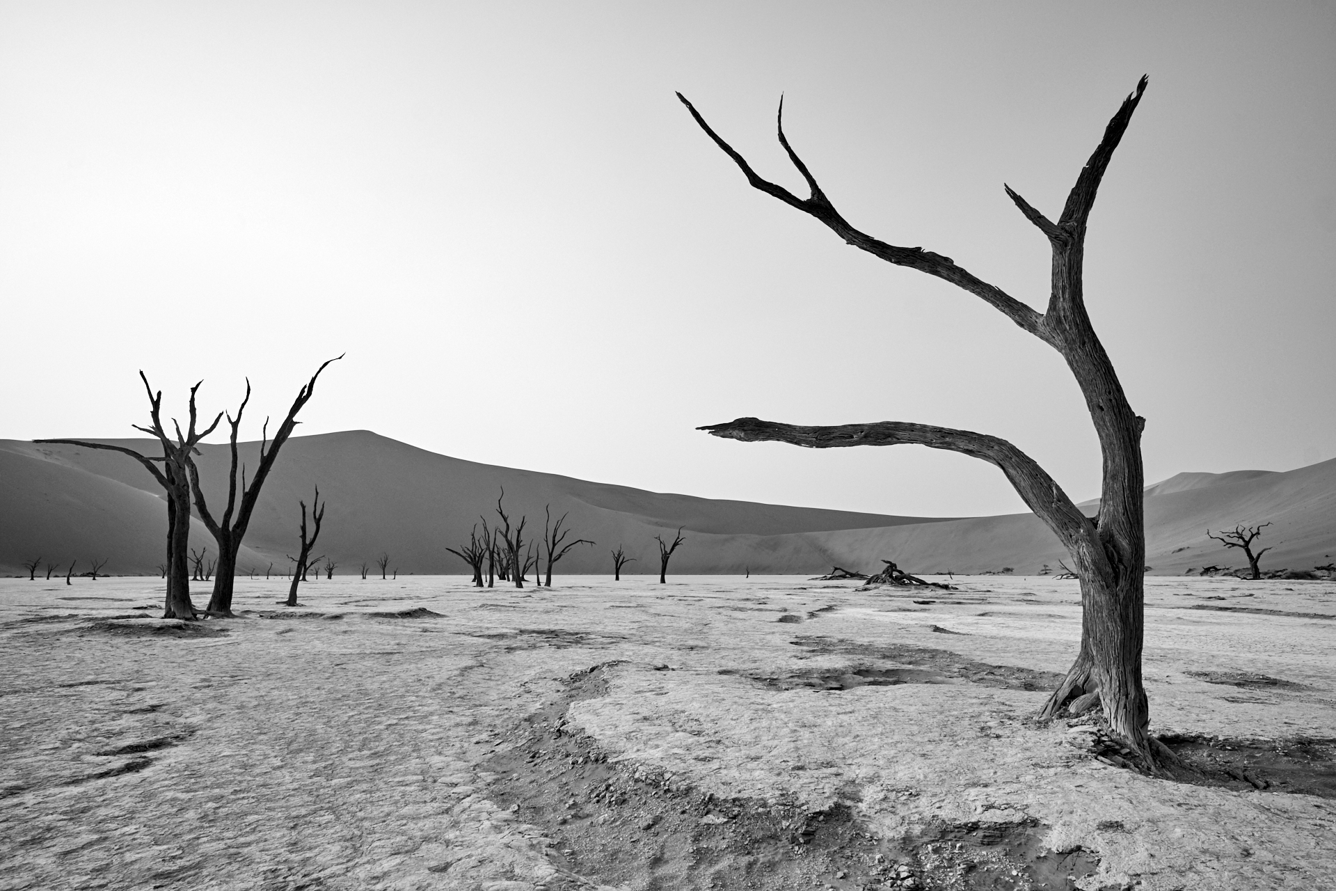 ghosts in the desert