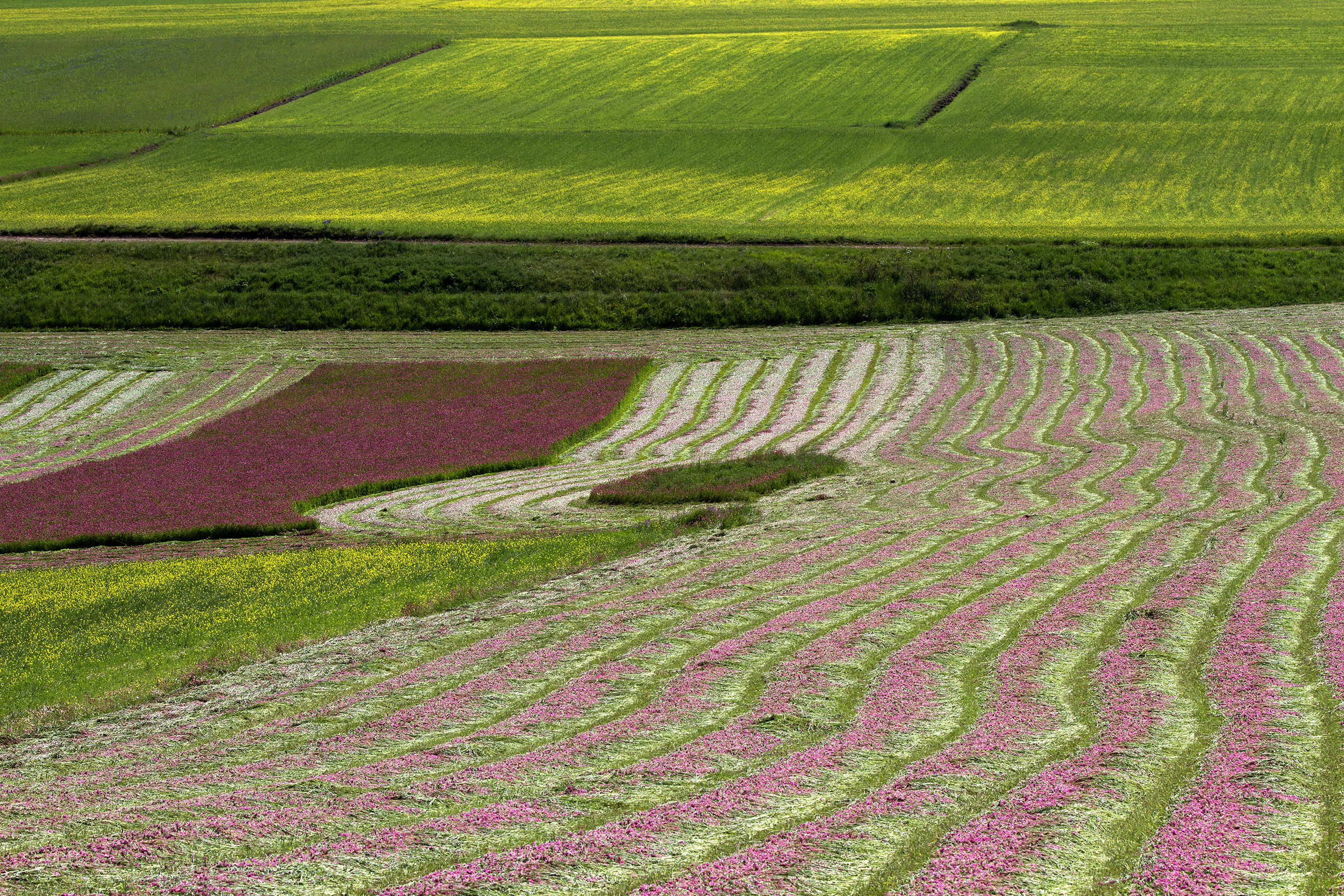 la piana di Castelluccio 6