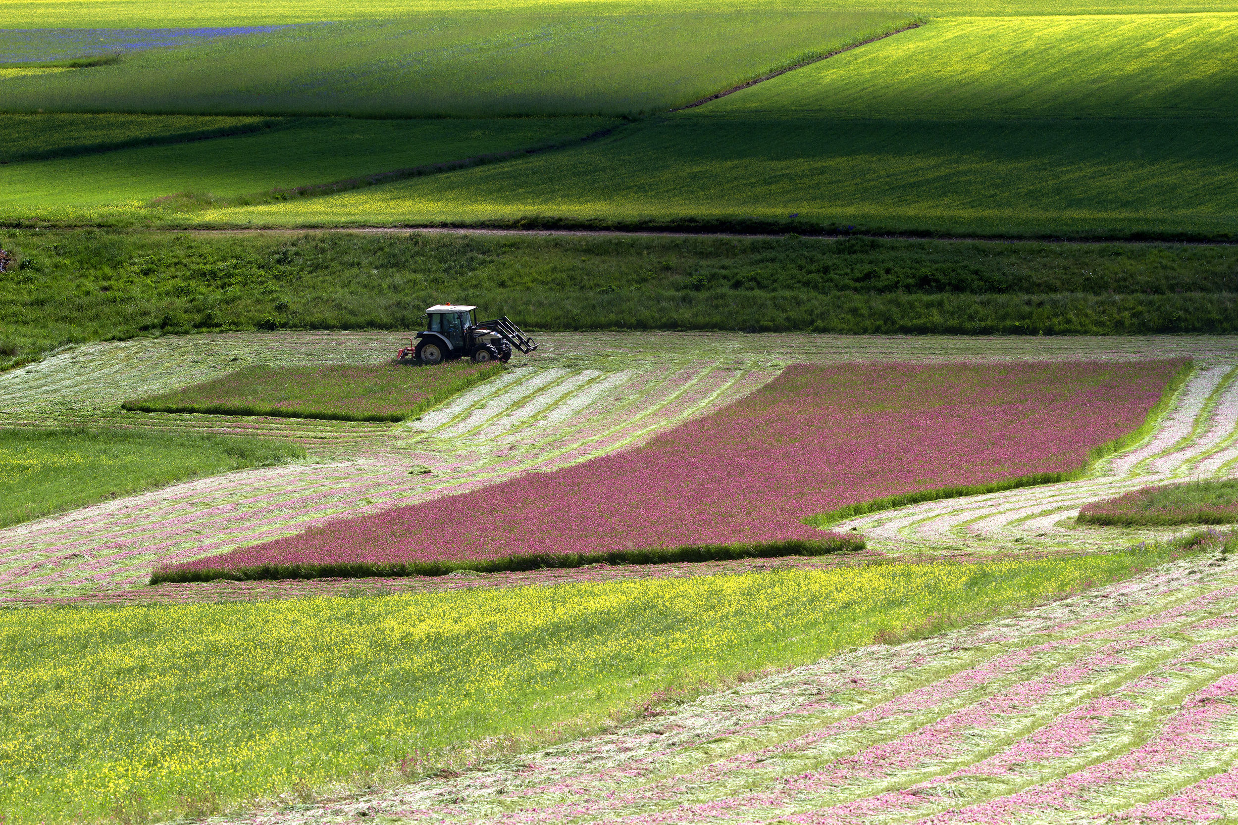 la piana di Castelluccio 7