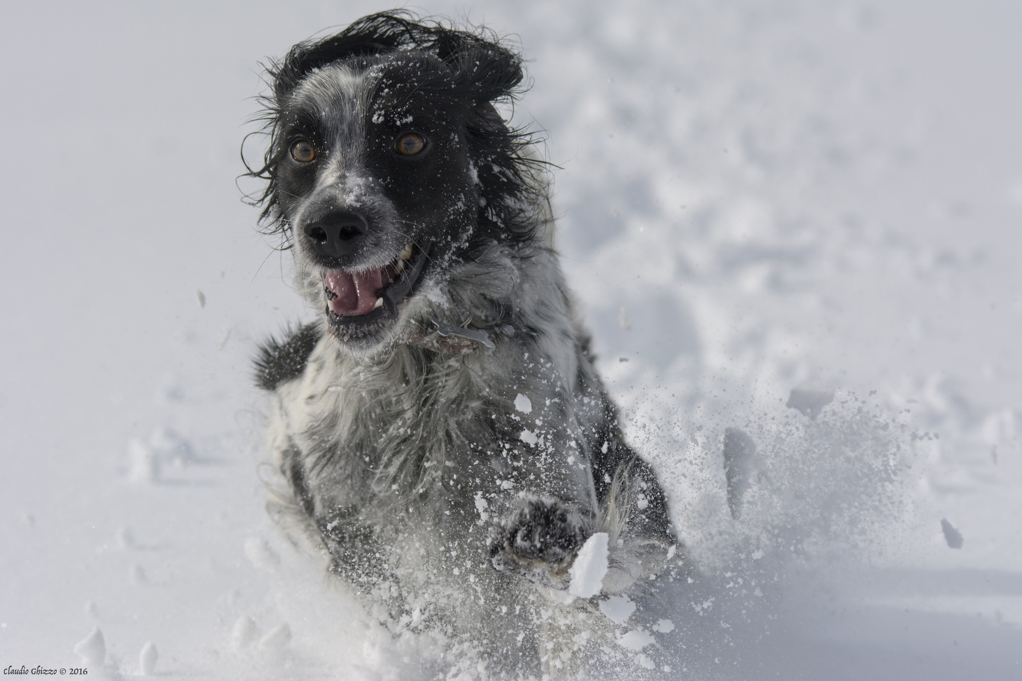 Breaking the snow!