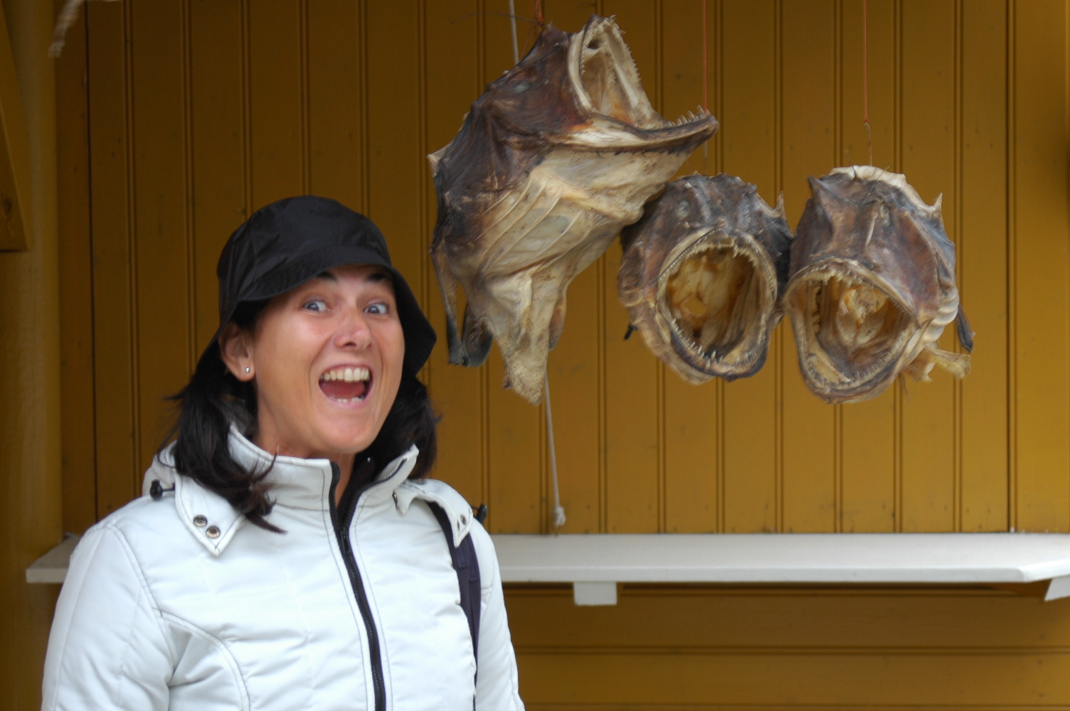 l'umano è quello a ....