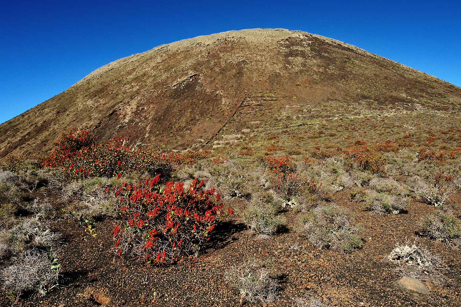 Vulcano Corona - Lanzarote - Canarie