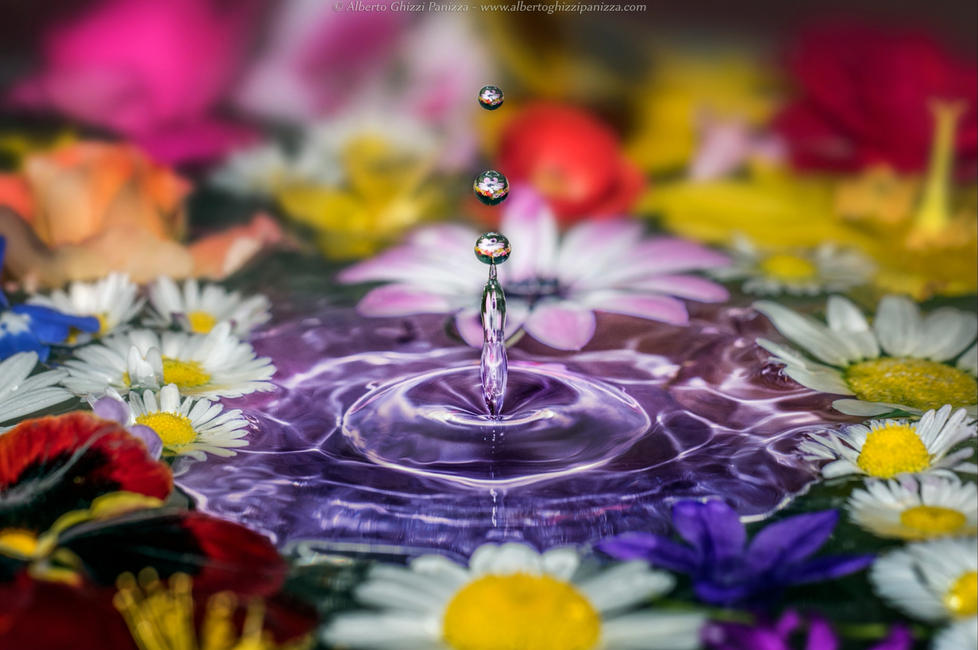 Flowers and water