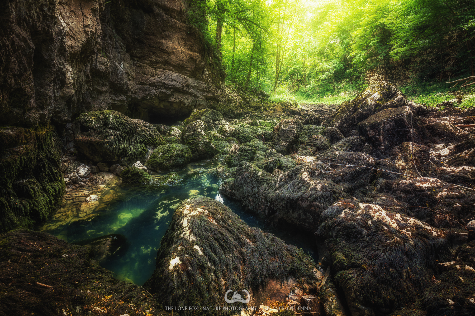 Life and death in the valley