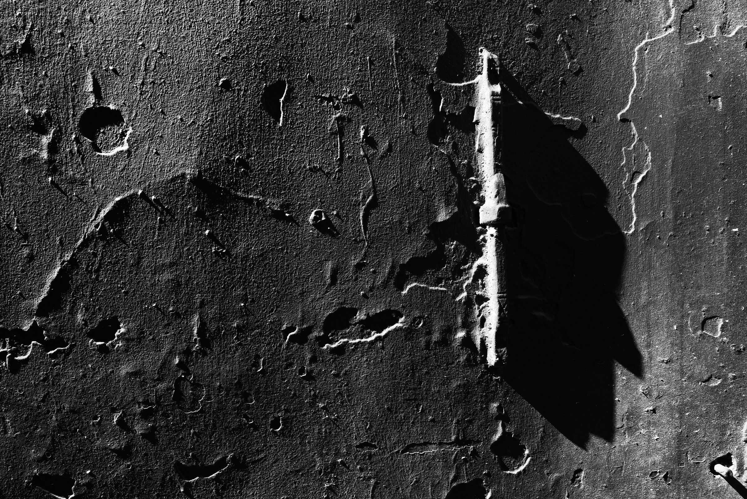 The Photographer's Bait 1