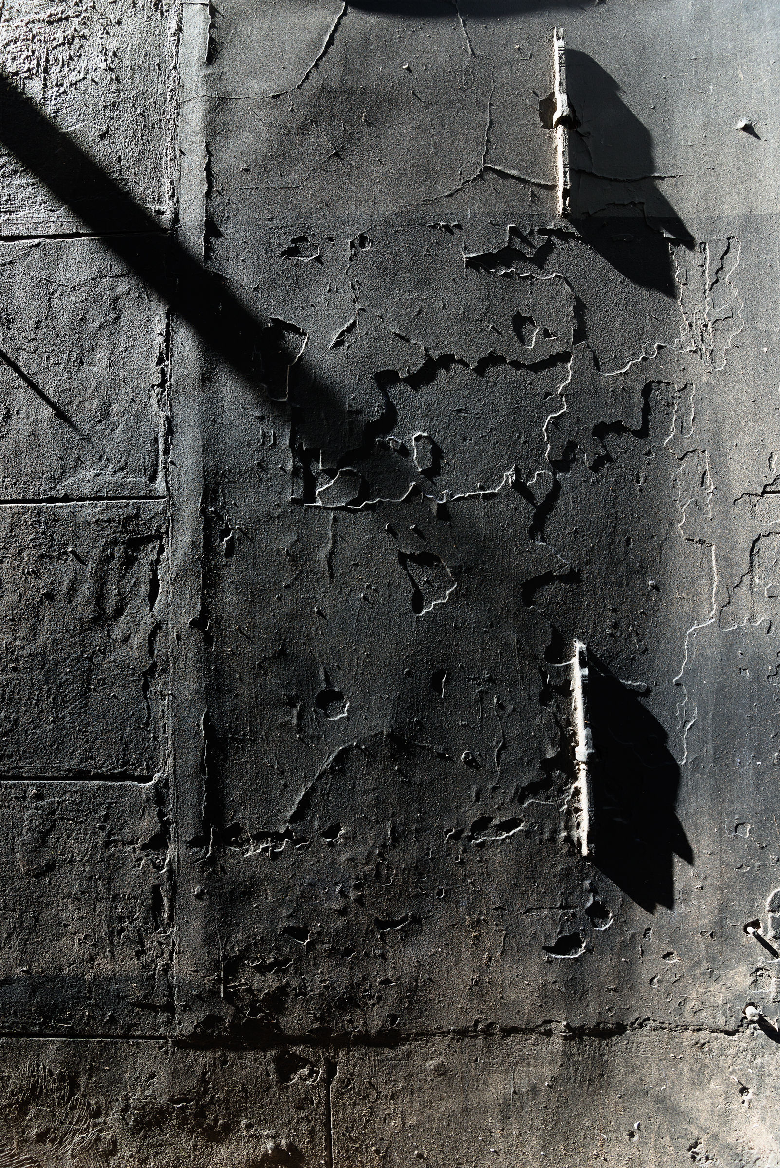 The Photographer's Bait 2