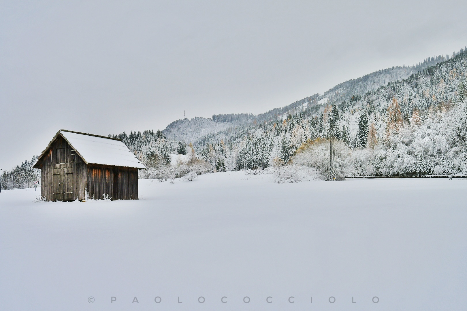 surprise at tarvisio