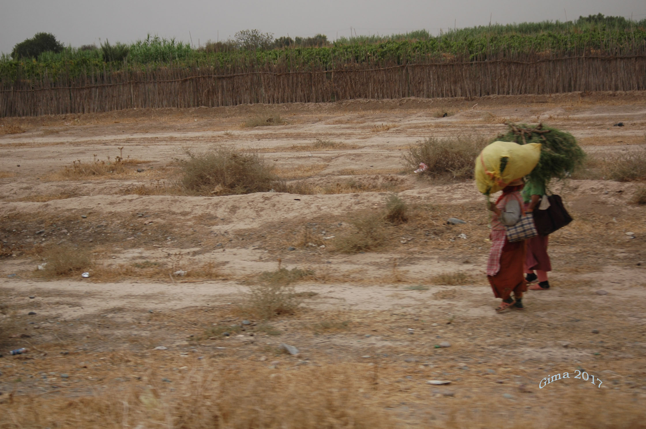 cammina cammina .....