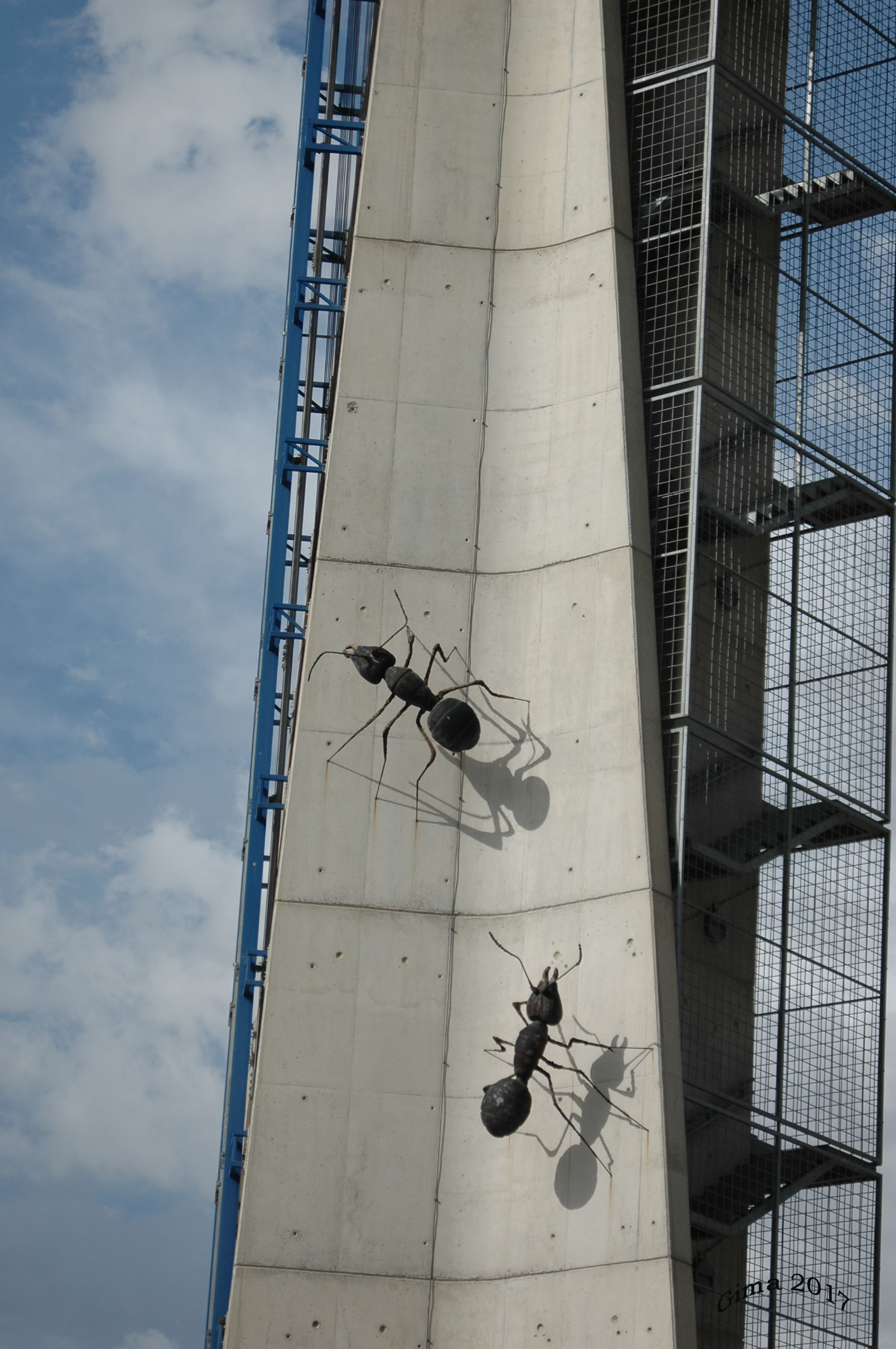 .... che paura .... enormi