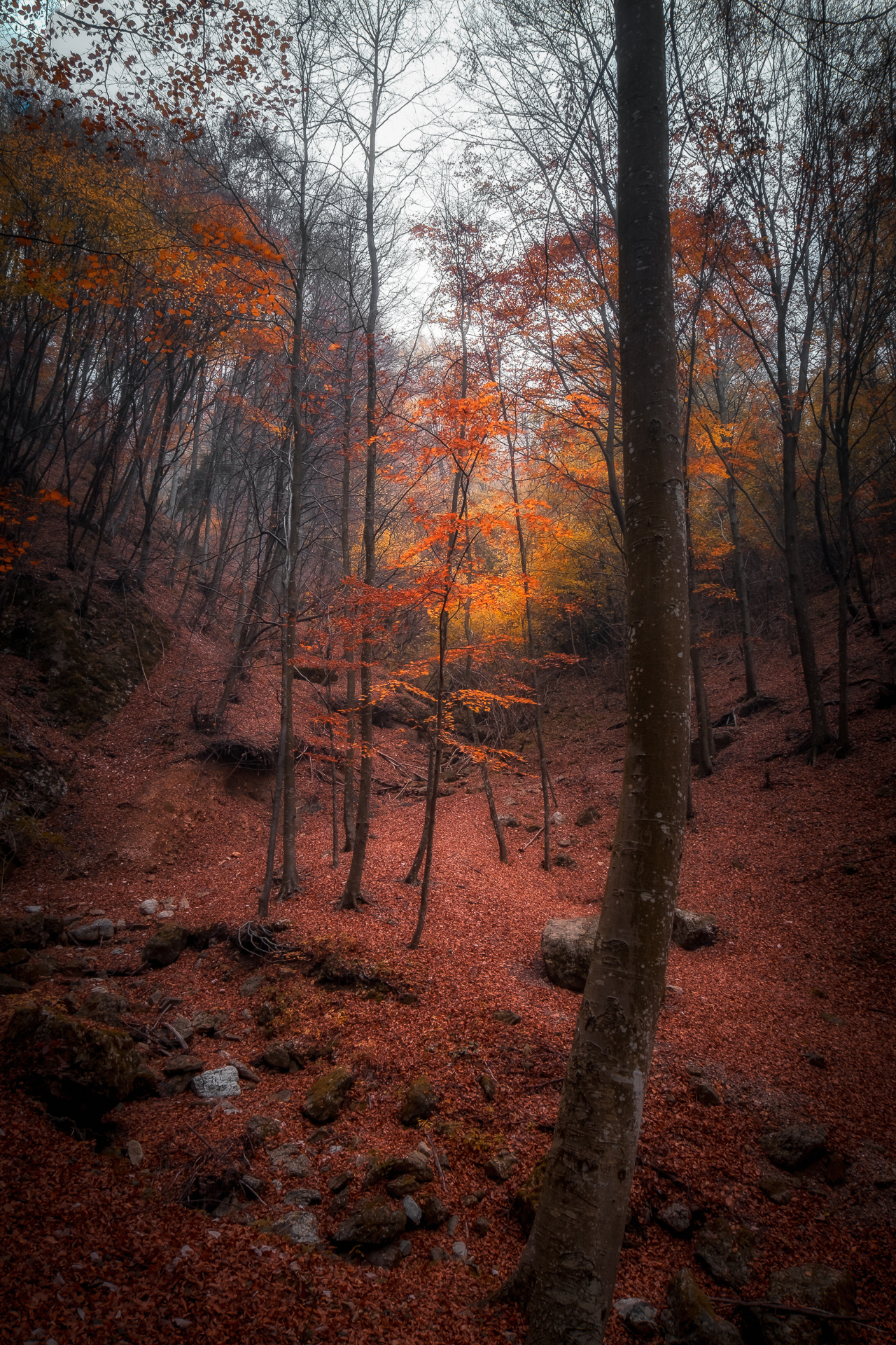 Uno fra tanti... ma speciale a modo suo...
