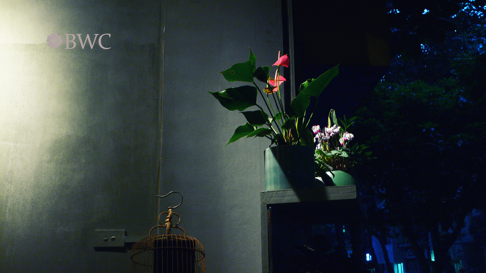 Flowers And A Bird Cage In The Late Evening