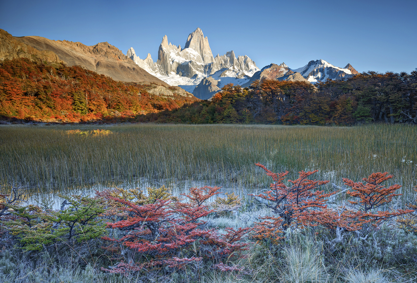 Fitz Roy