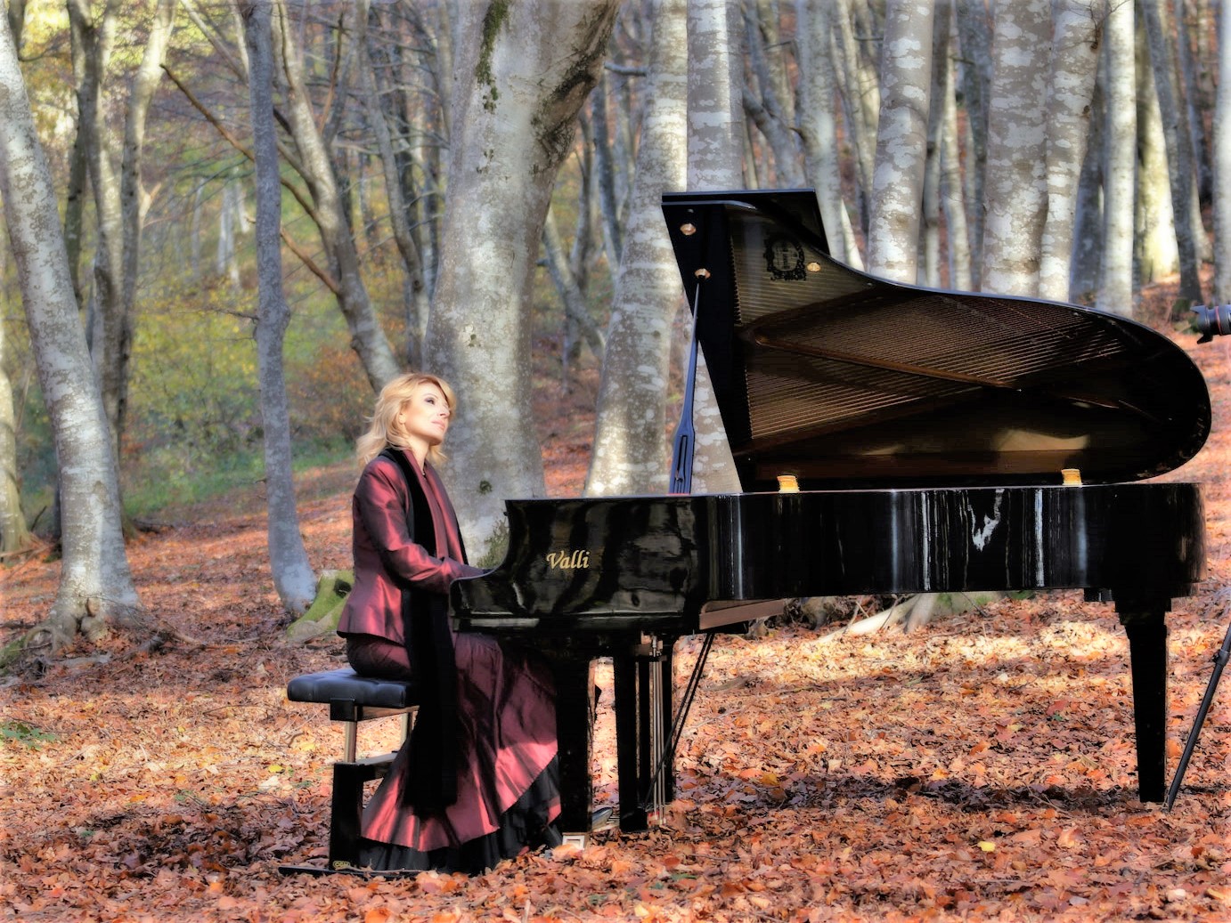 The legend of the pianist in the beechwood 2