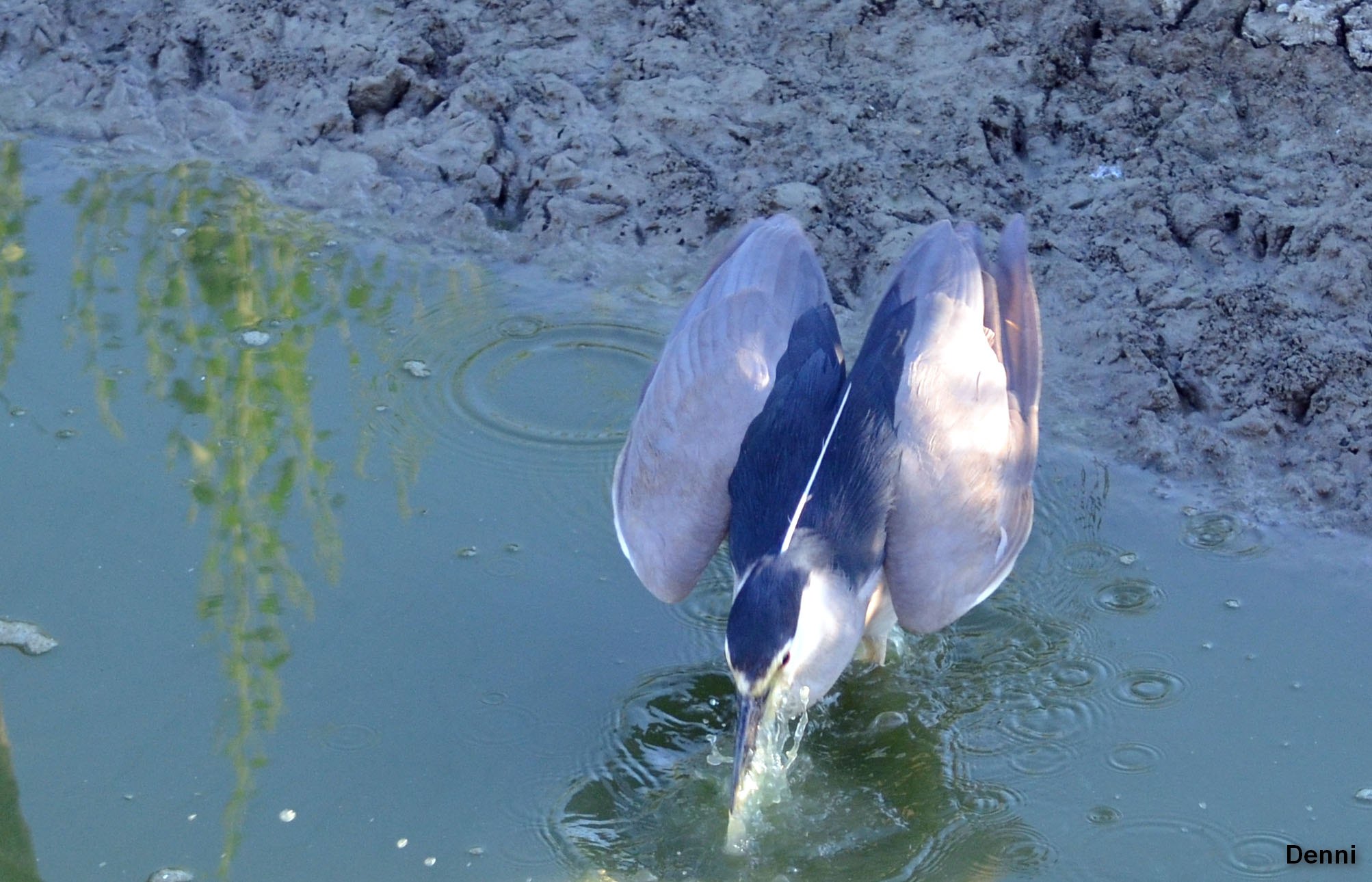 he did not take anything