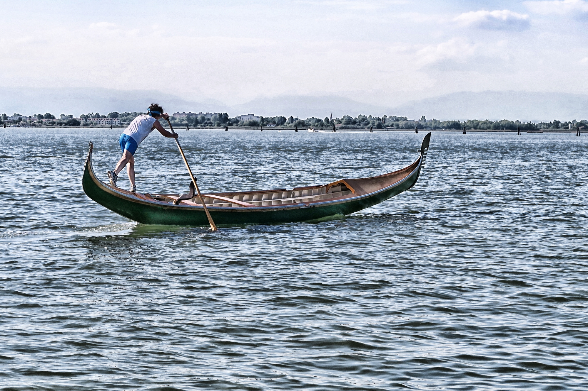 the elegance of the oars