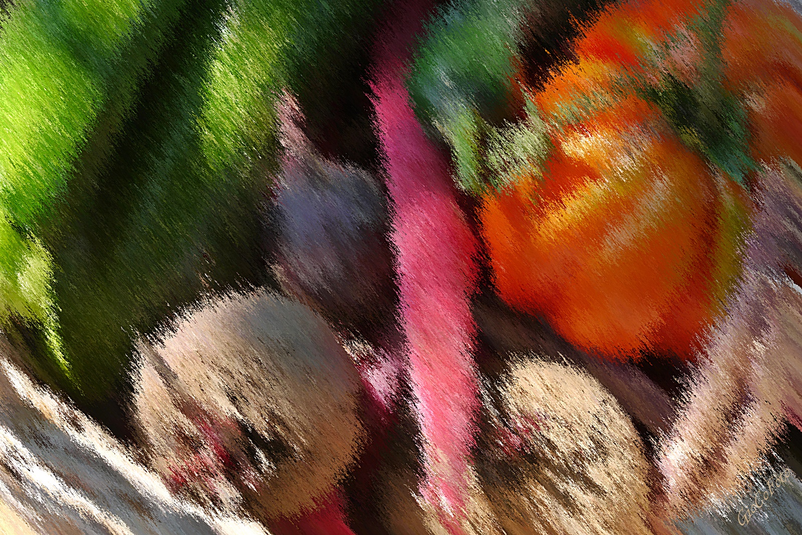 ricordi del mio orto