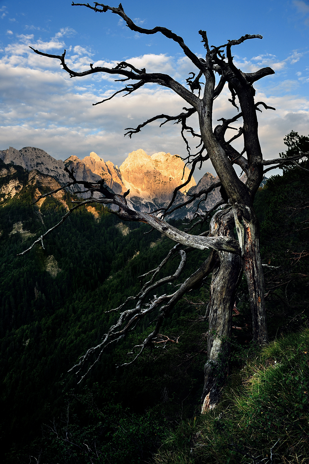 Morning light - Julian Alps