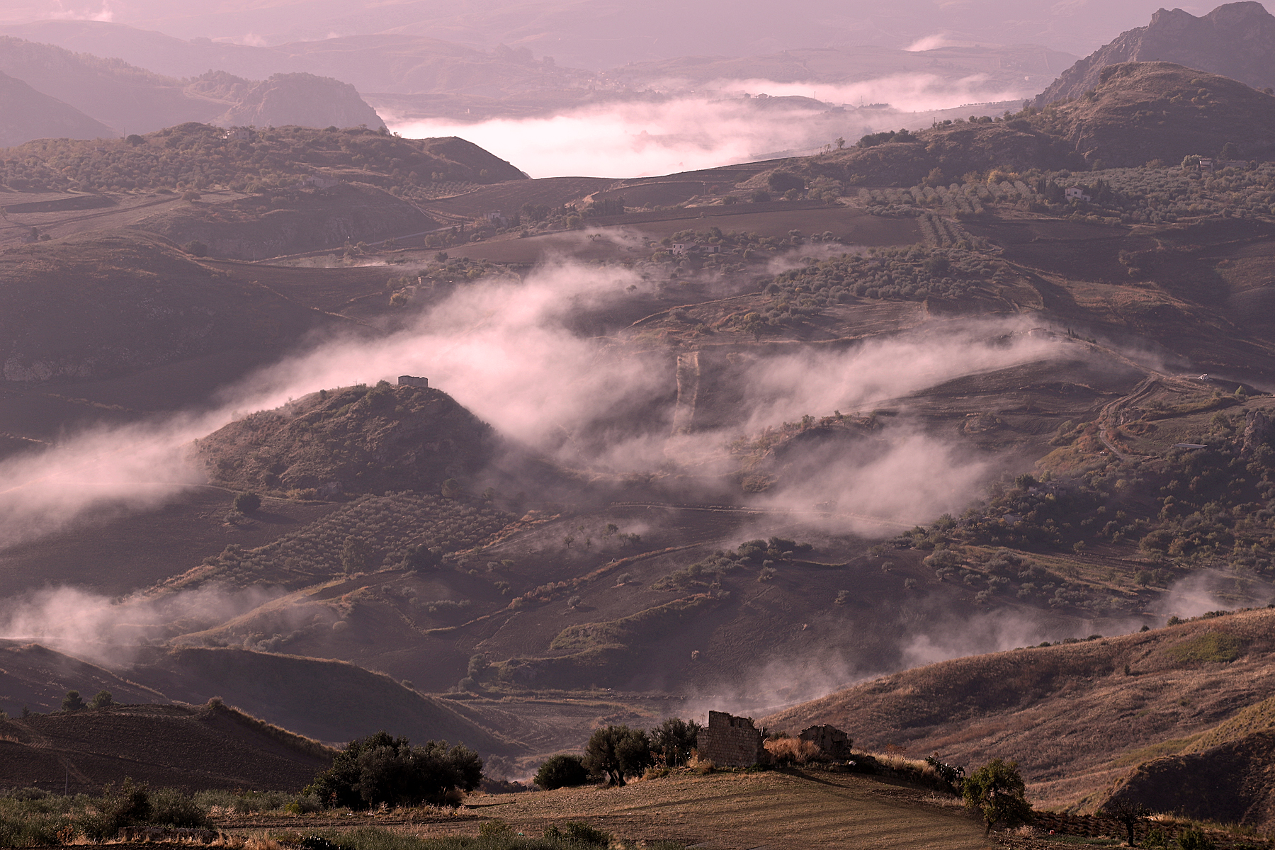 In the land of Mezzo