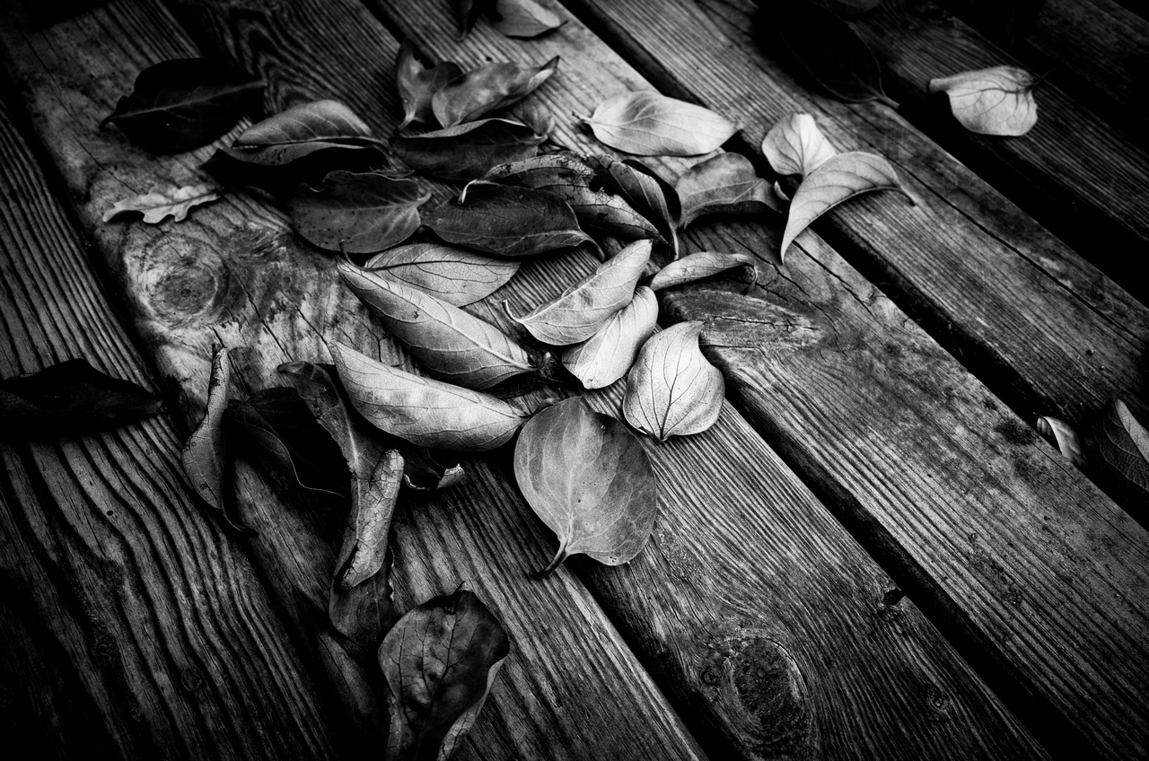 Girovagando per i Colli Euganei... in BN