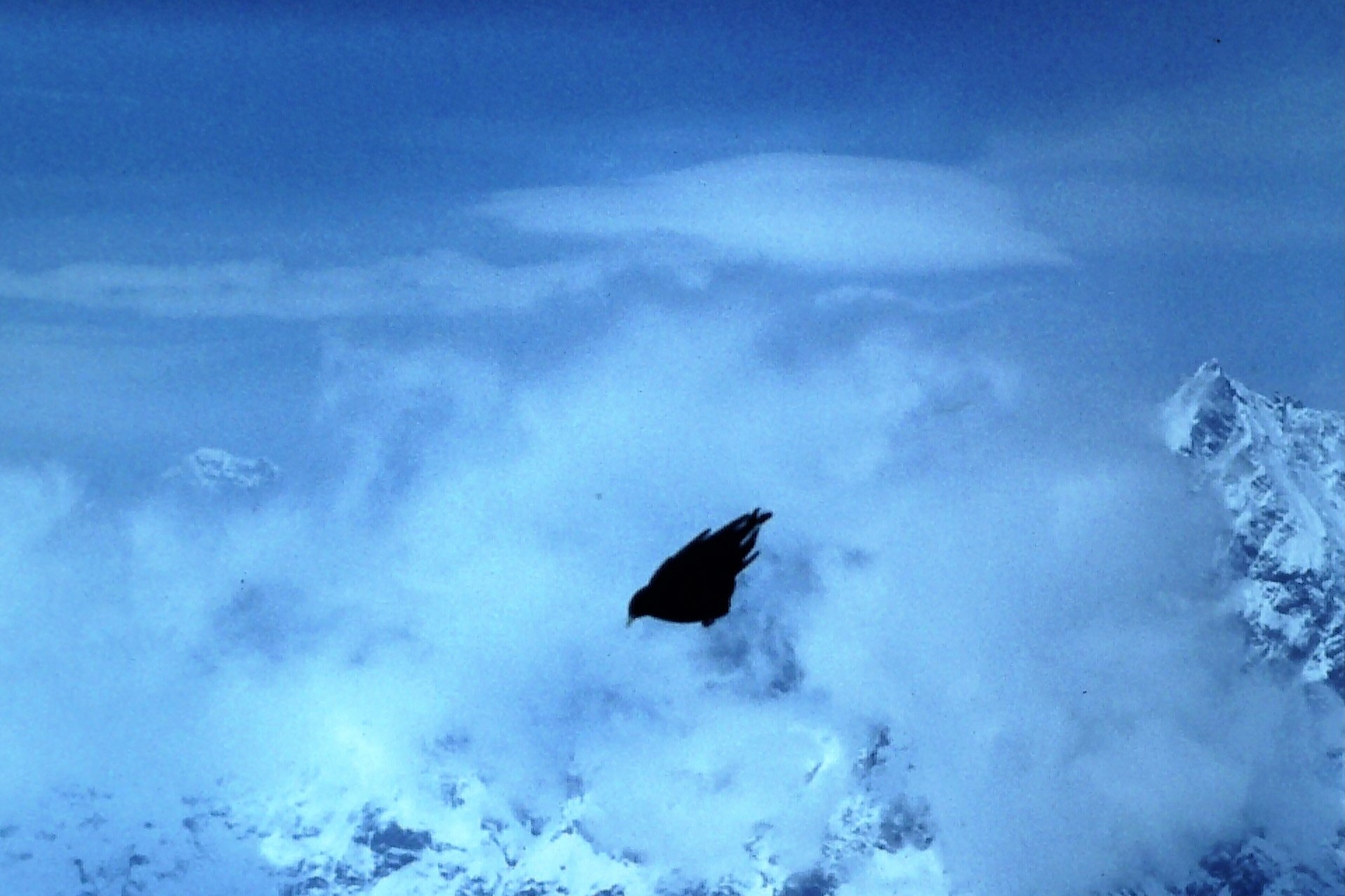 The beating of the snare