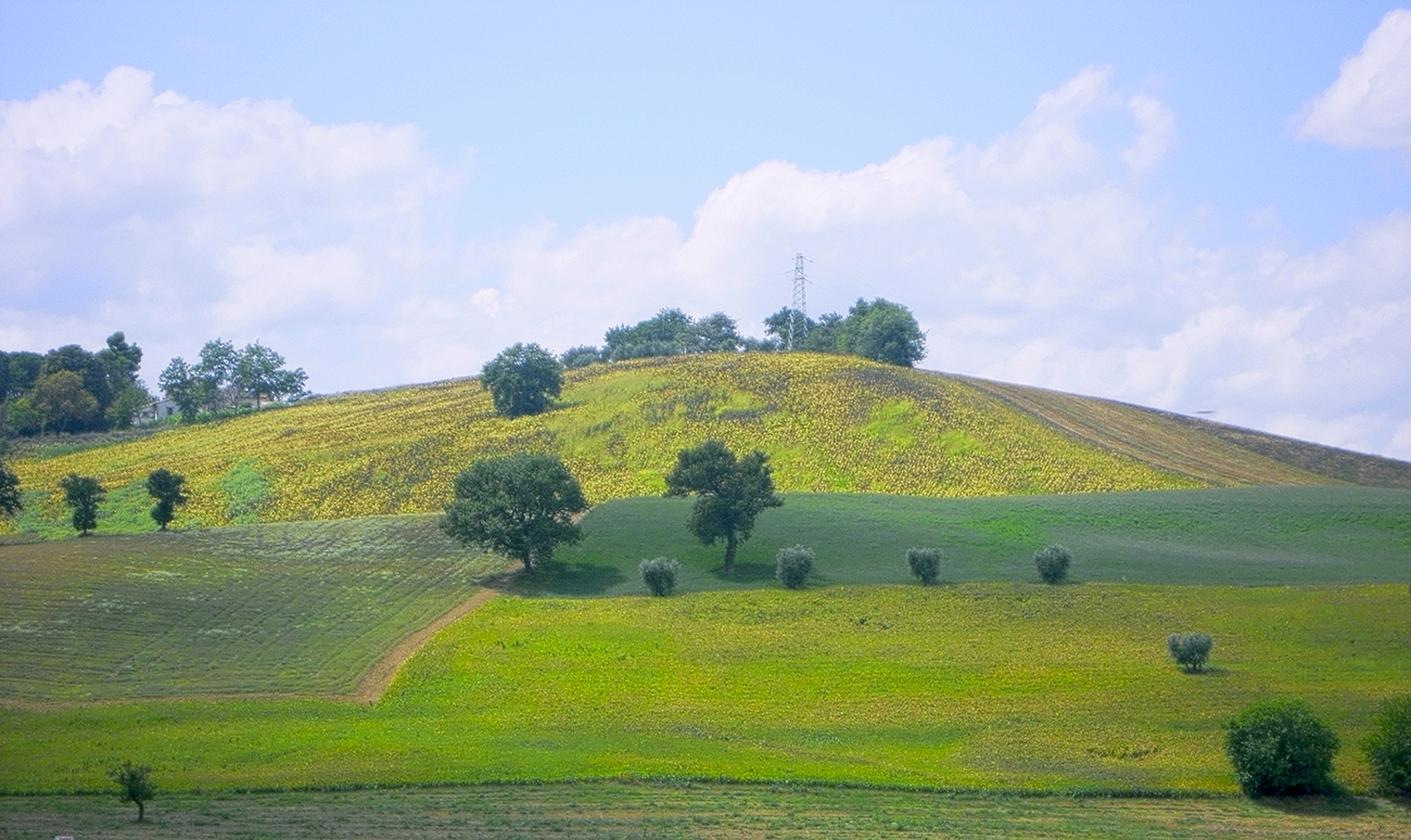 Campagna Marchigiana