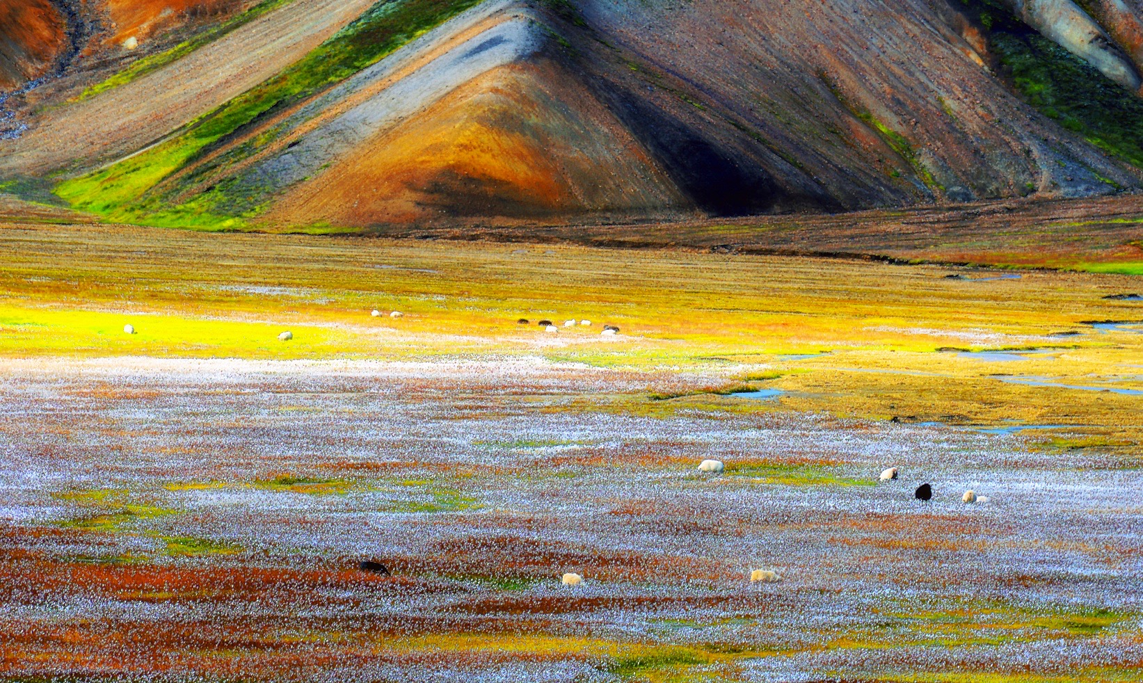 The colors of Landmannalaugar (Iceland)