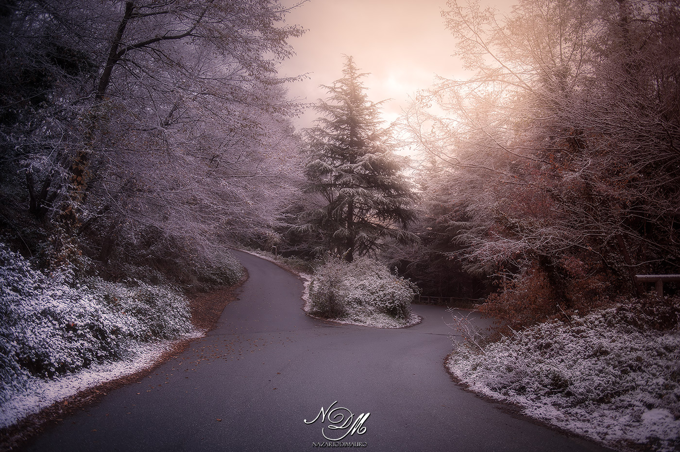 The snow and its magic ...