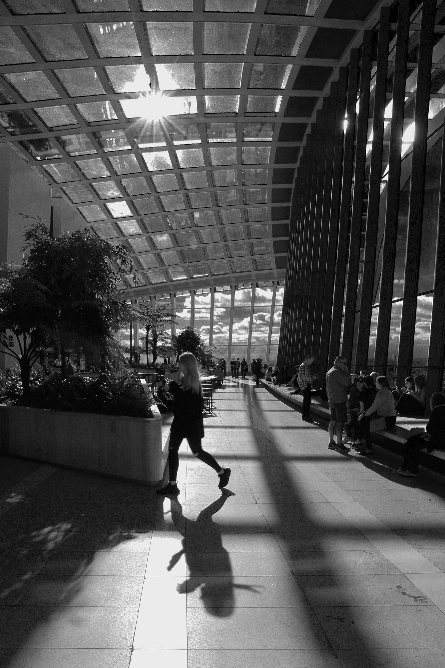 sky garden luci e ombre