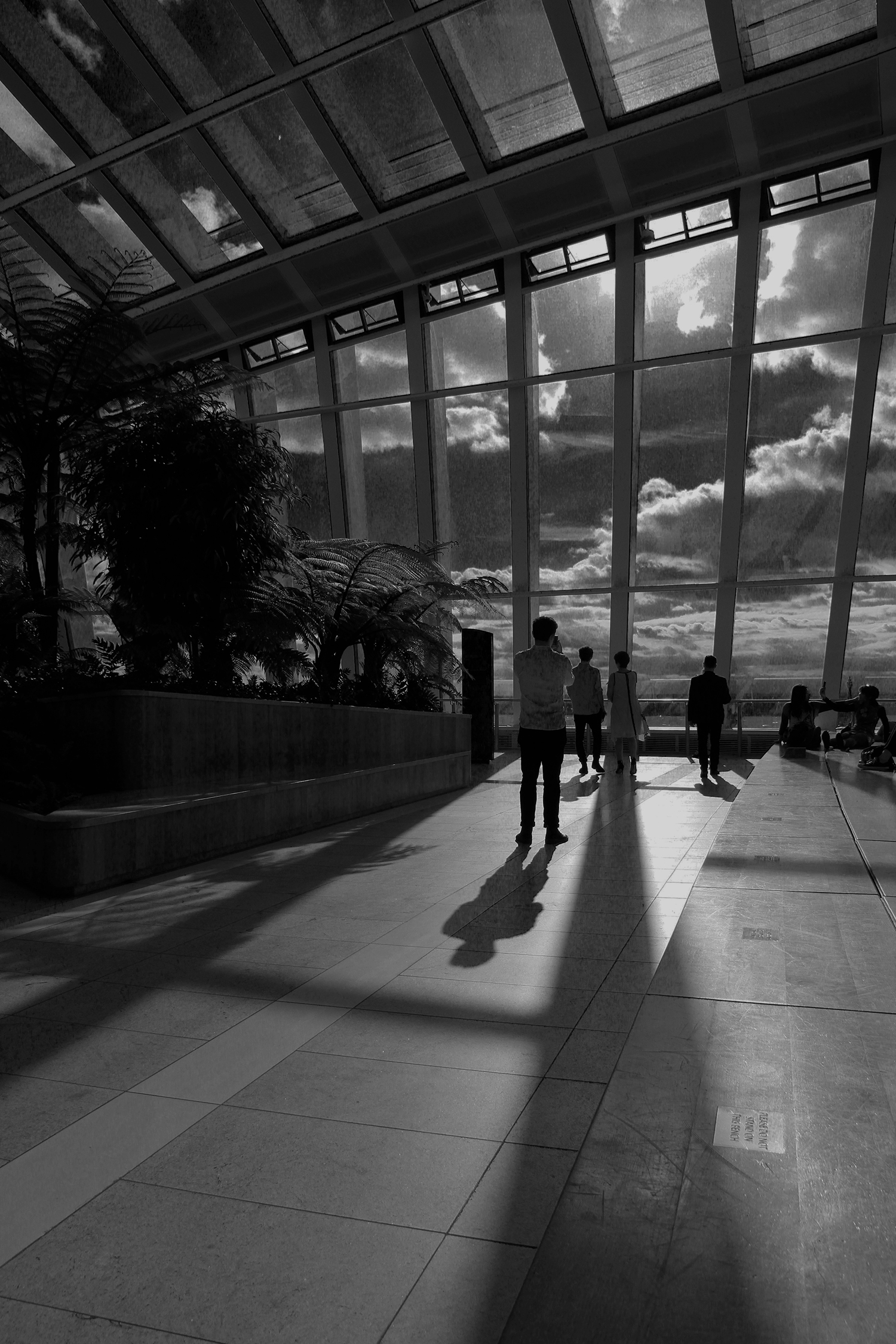 sky garden luci e ombre