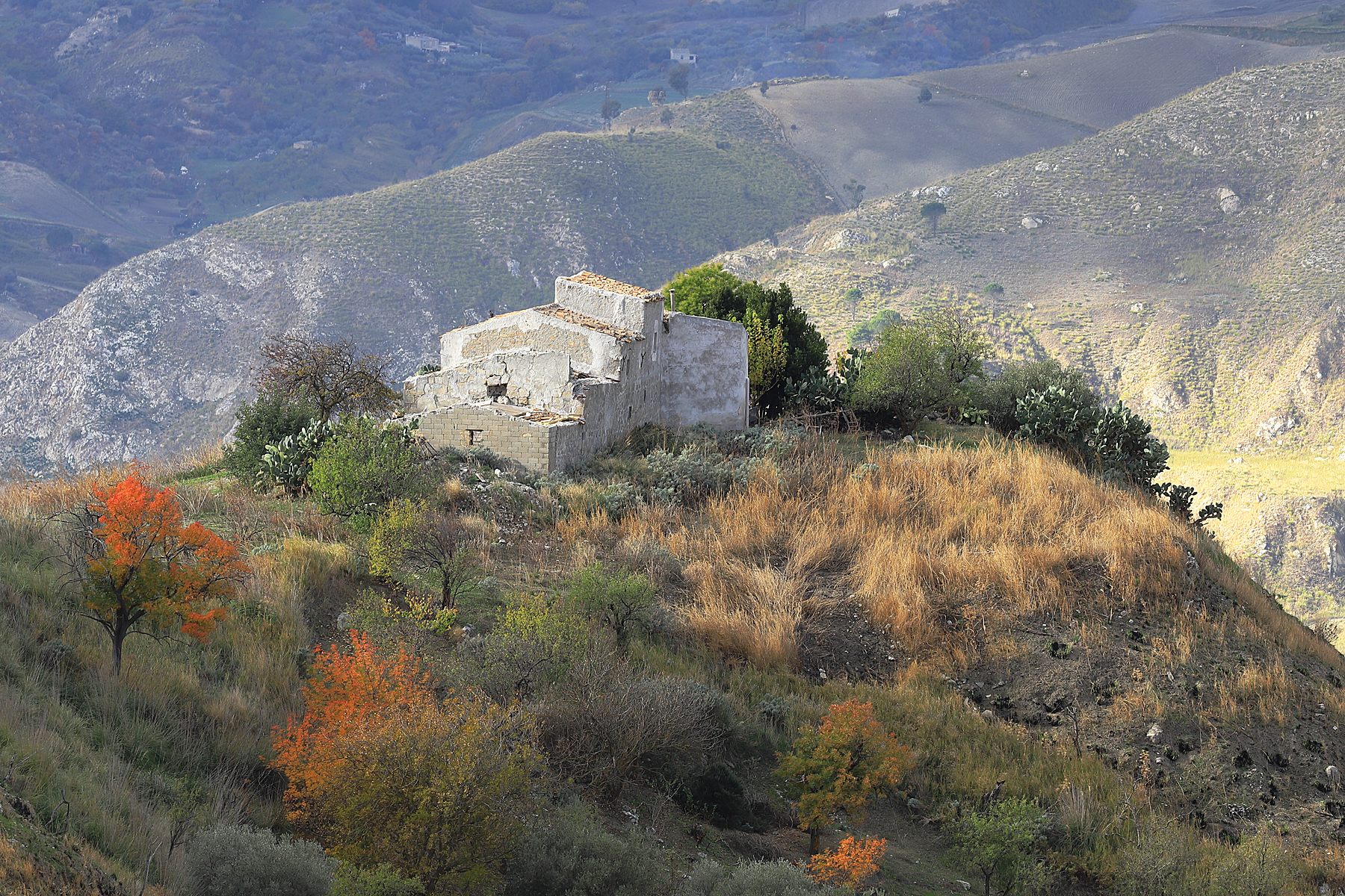 Typical country house.
