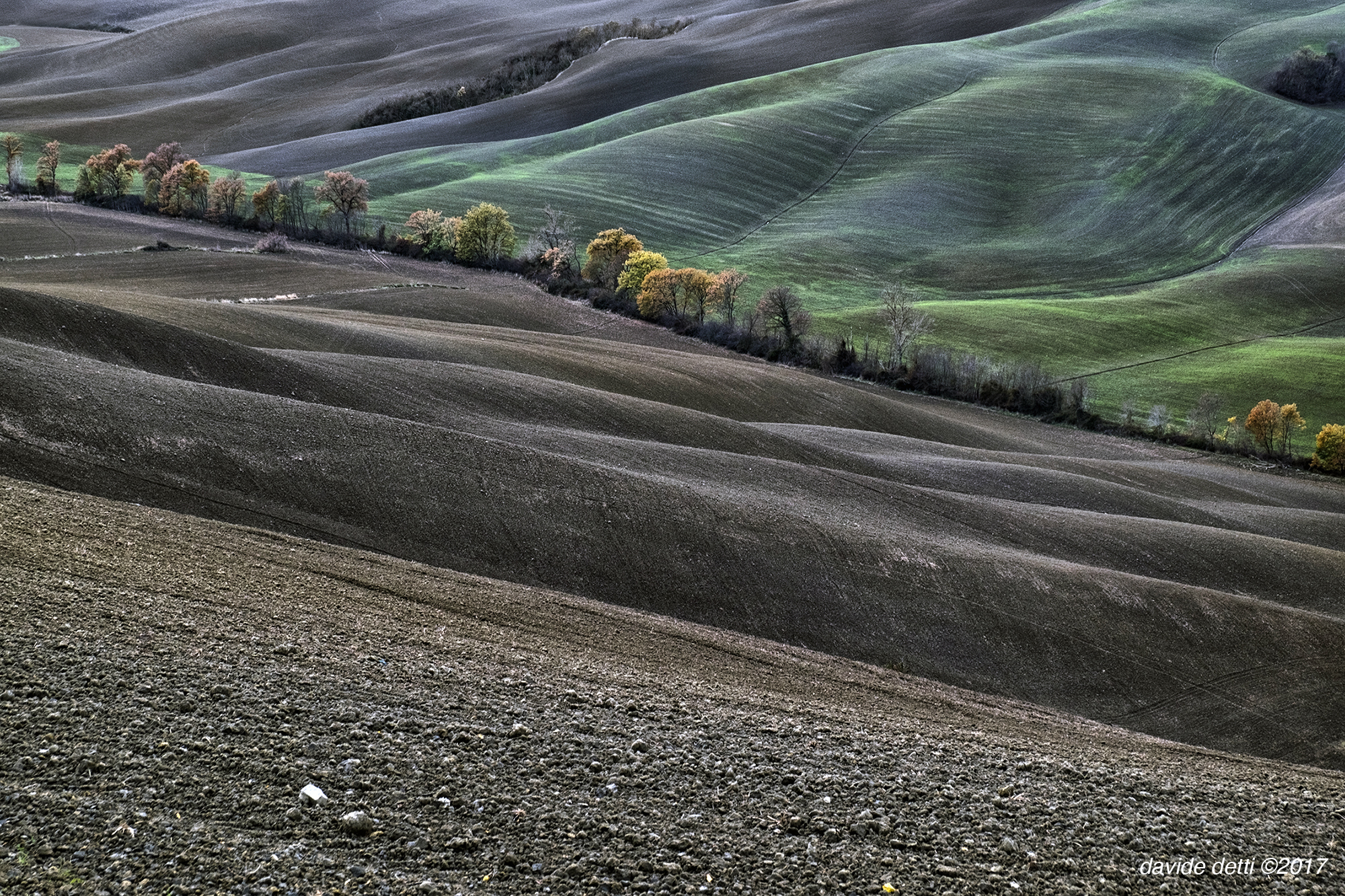 Asciano collezione fall-winter