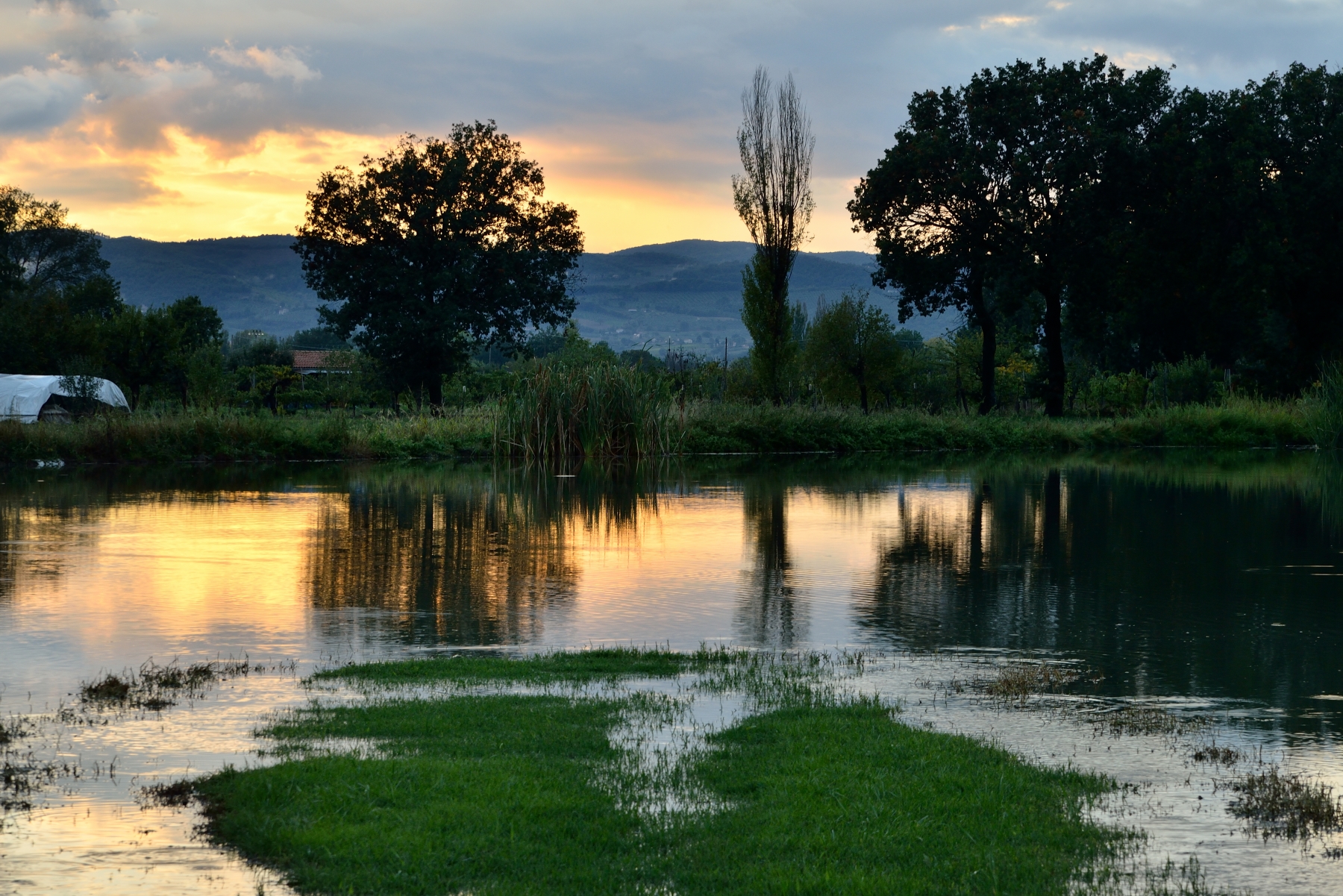 Riflessi dorati sullo stagno