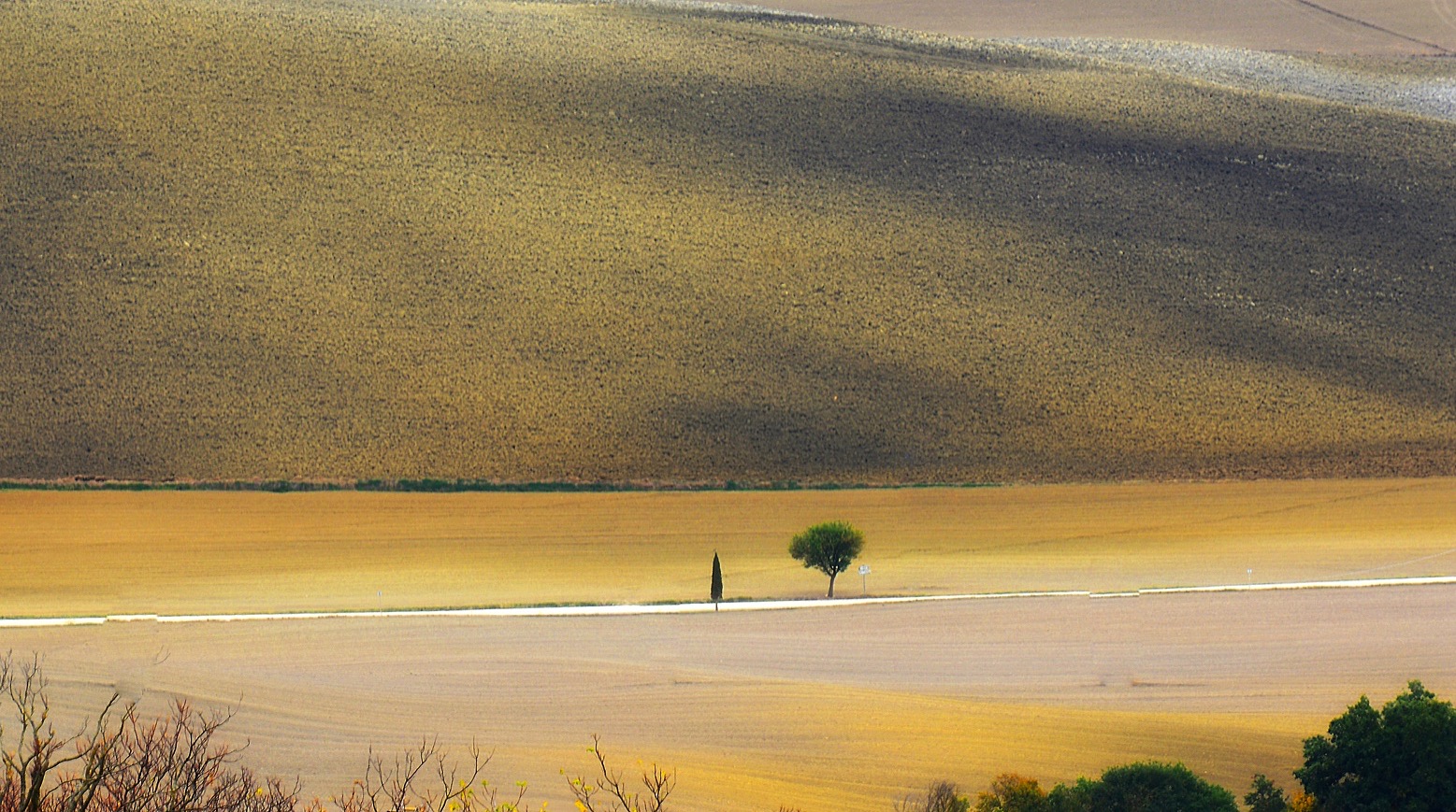 Landscape of the Val d'Orcia