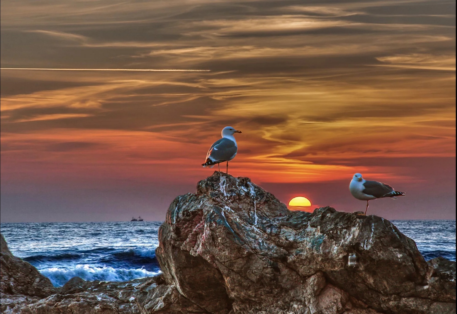 Tramonto a Tellaro