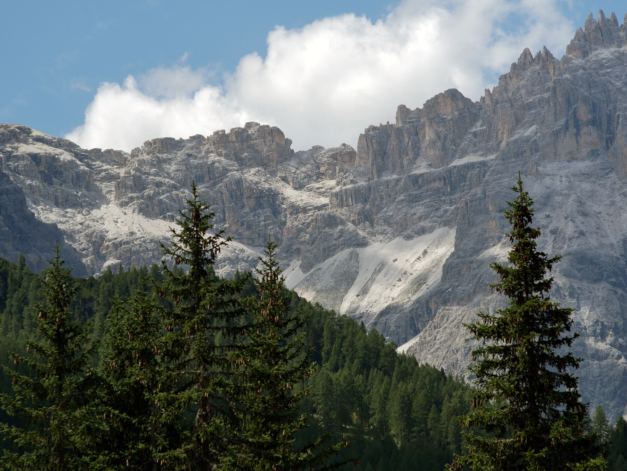 Da prati di Croda Rossa di Sesto