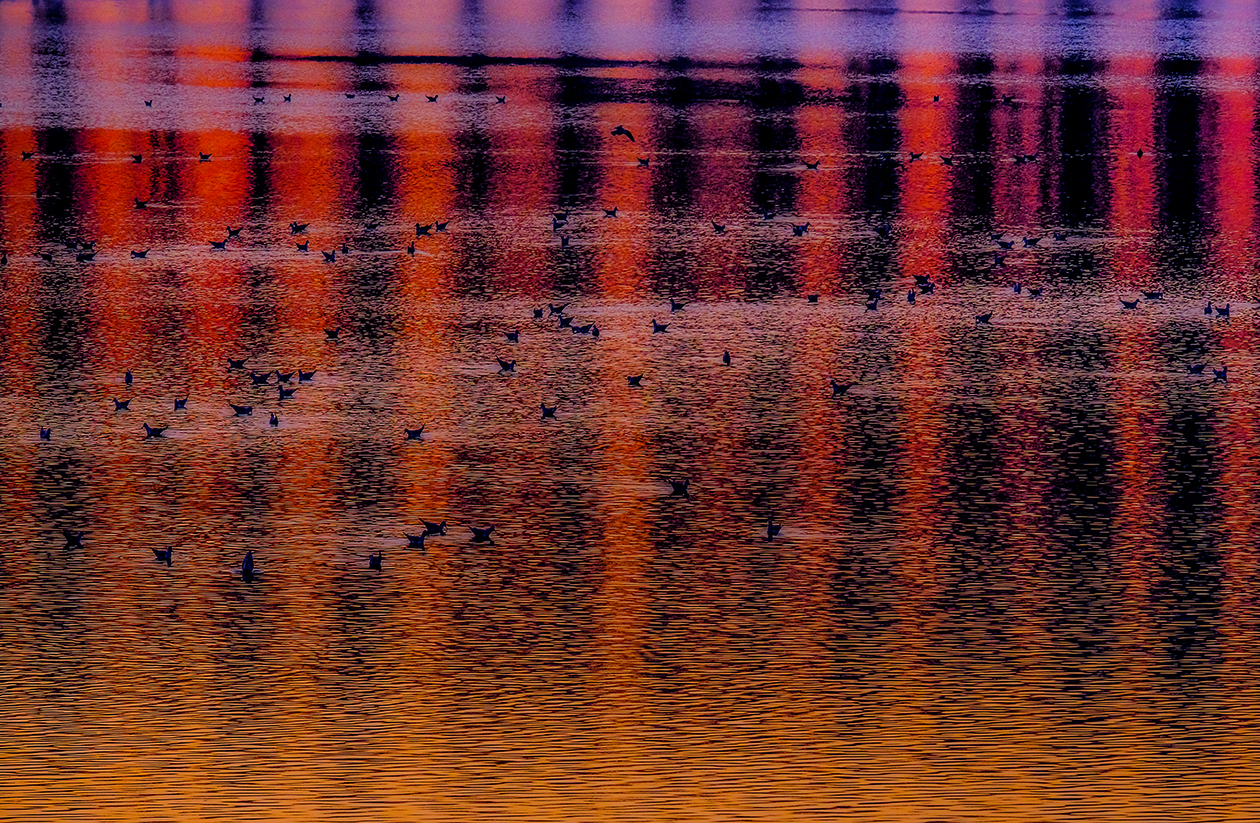 Reflections on the lake