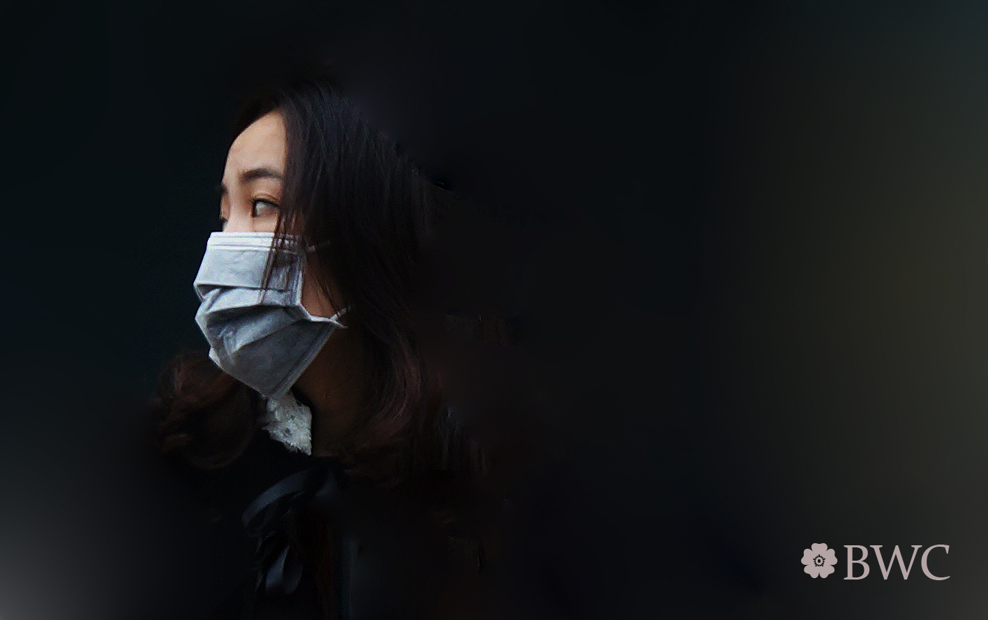 Lady Ninja Of Vietnam