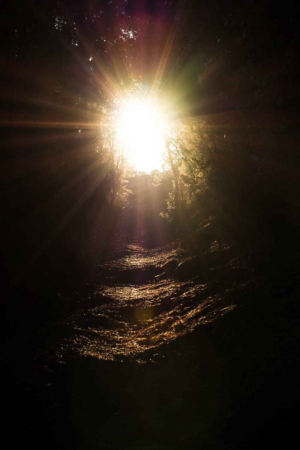 The light that illuminates the way