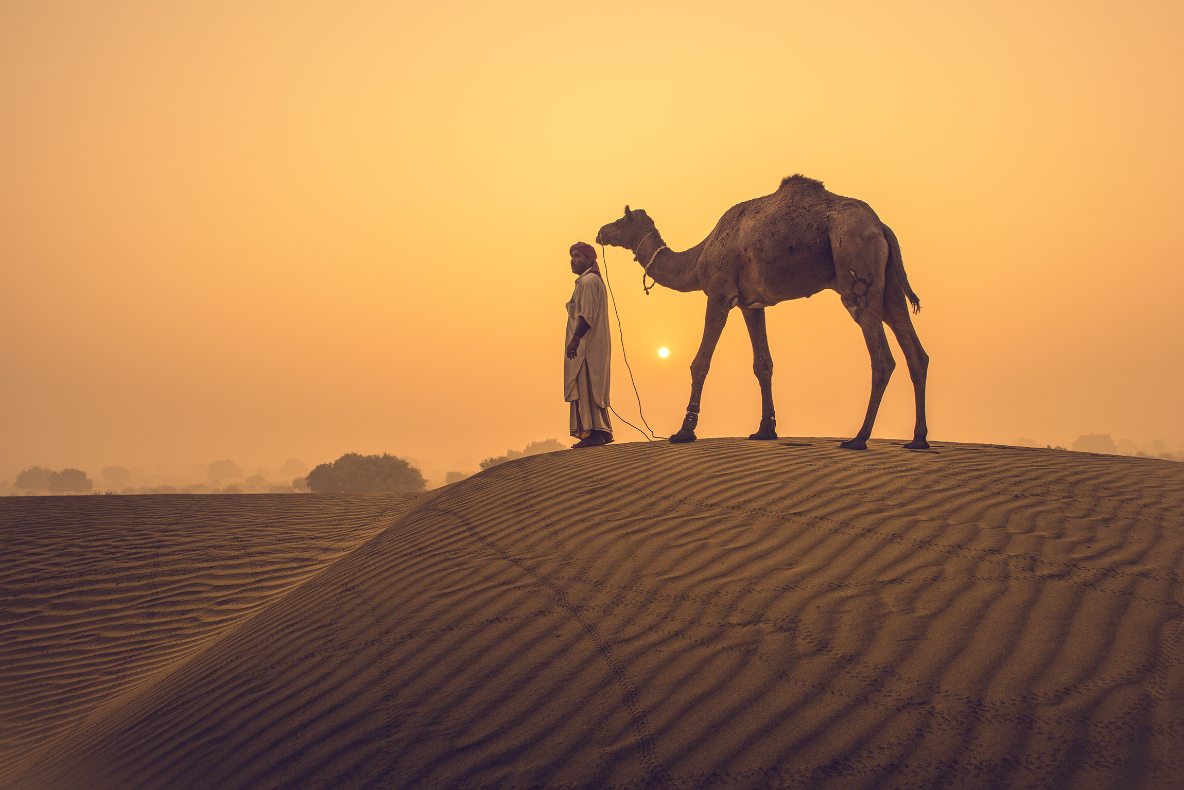 Alba nel deserto del Thar